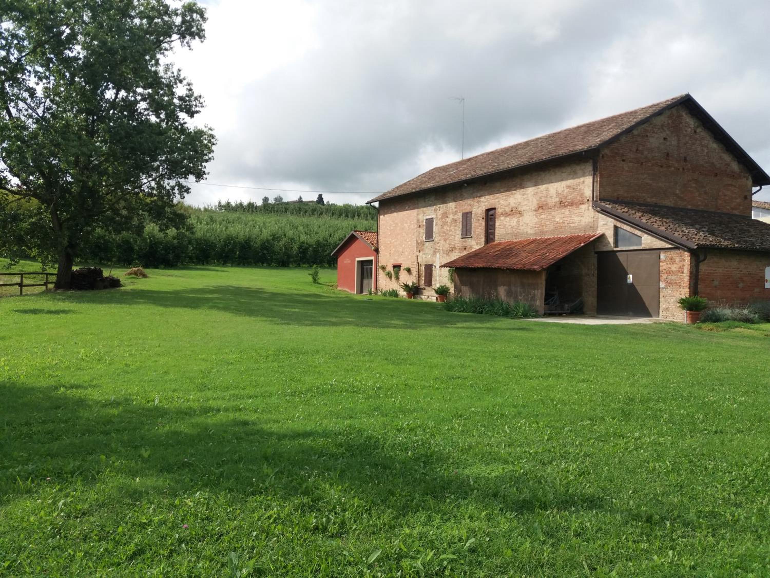 Poderi Sartoris view 2