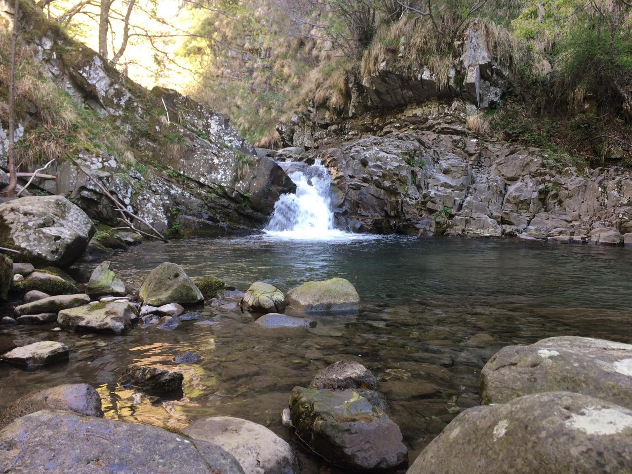 Photo 46