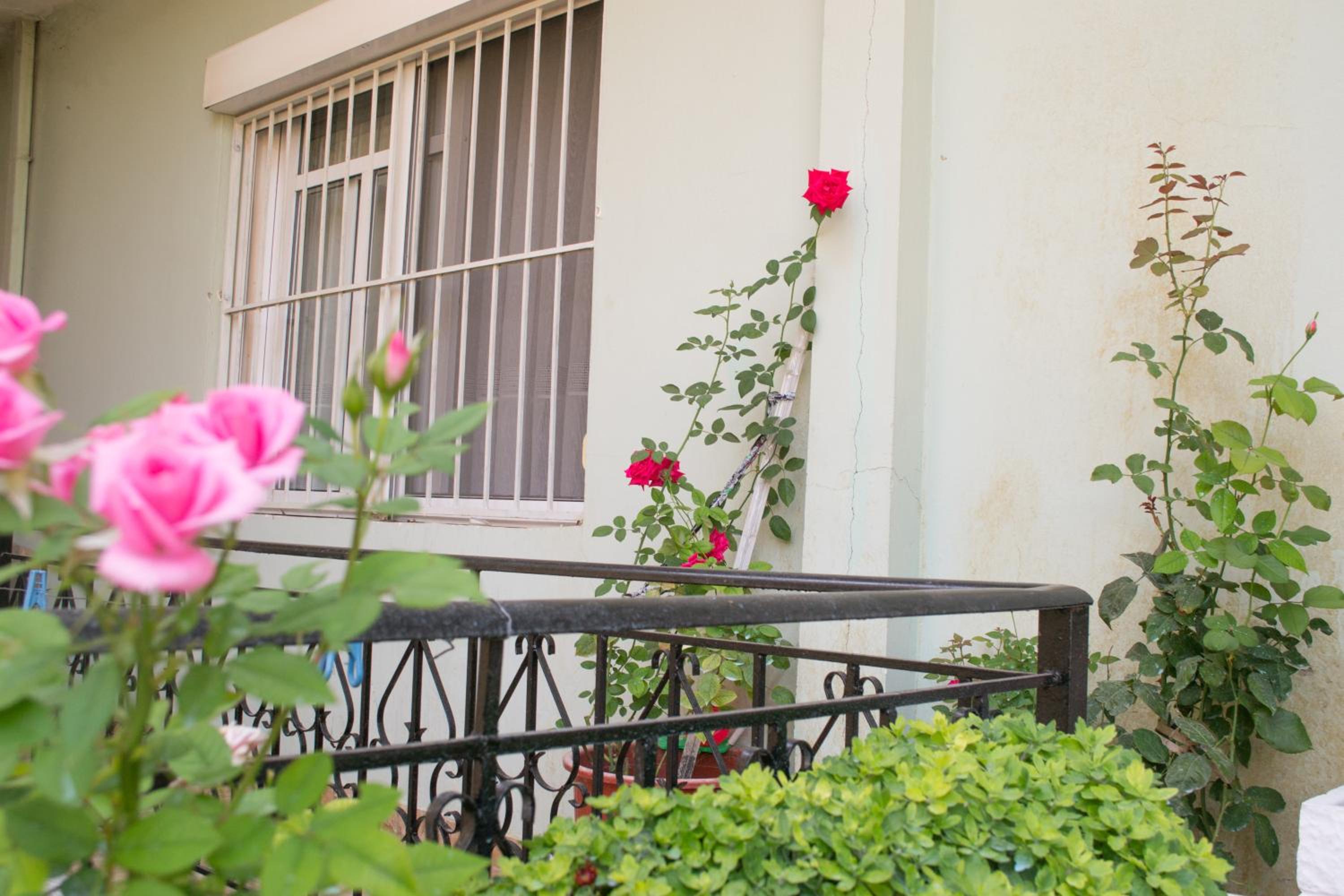 Jazoj Family hotel photo 5