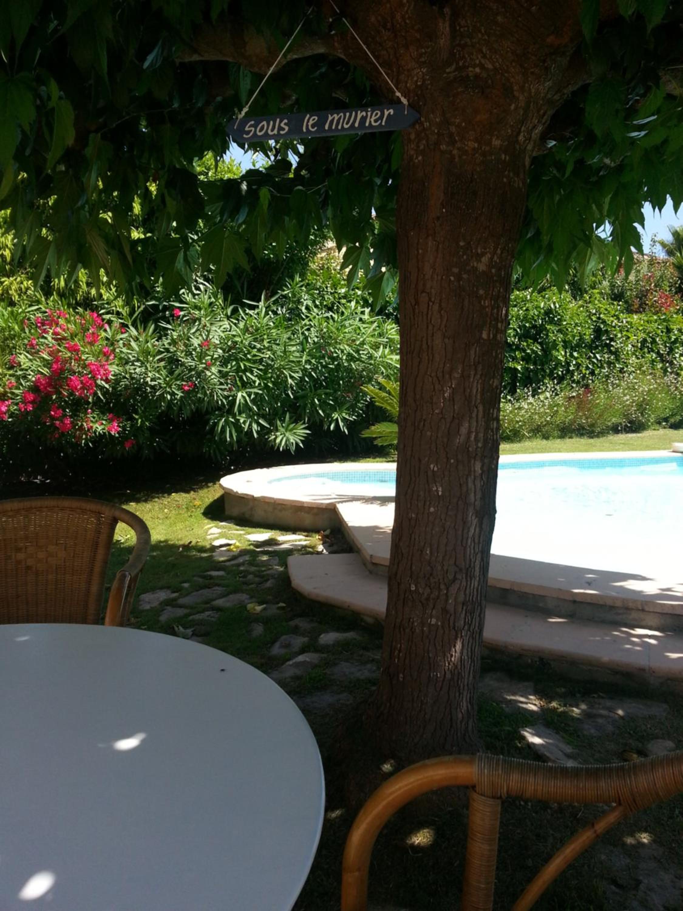 Sous le mûrier, photo 2
