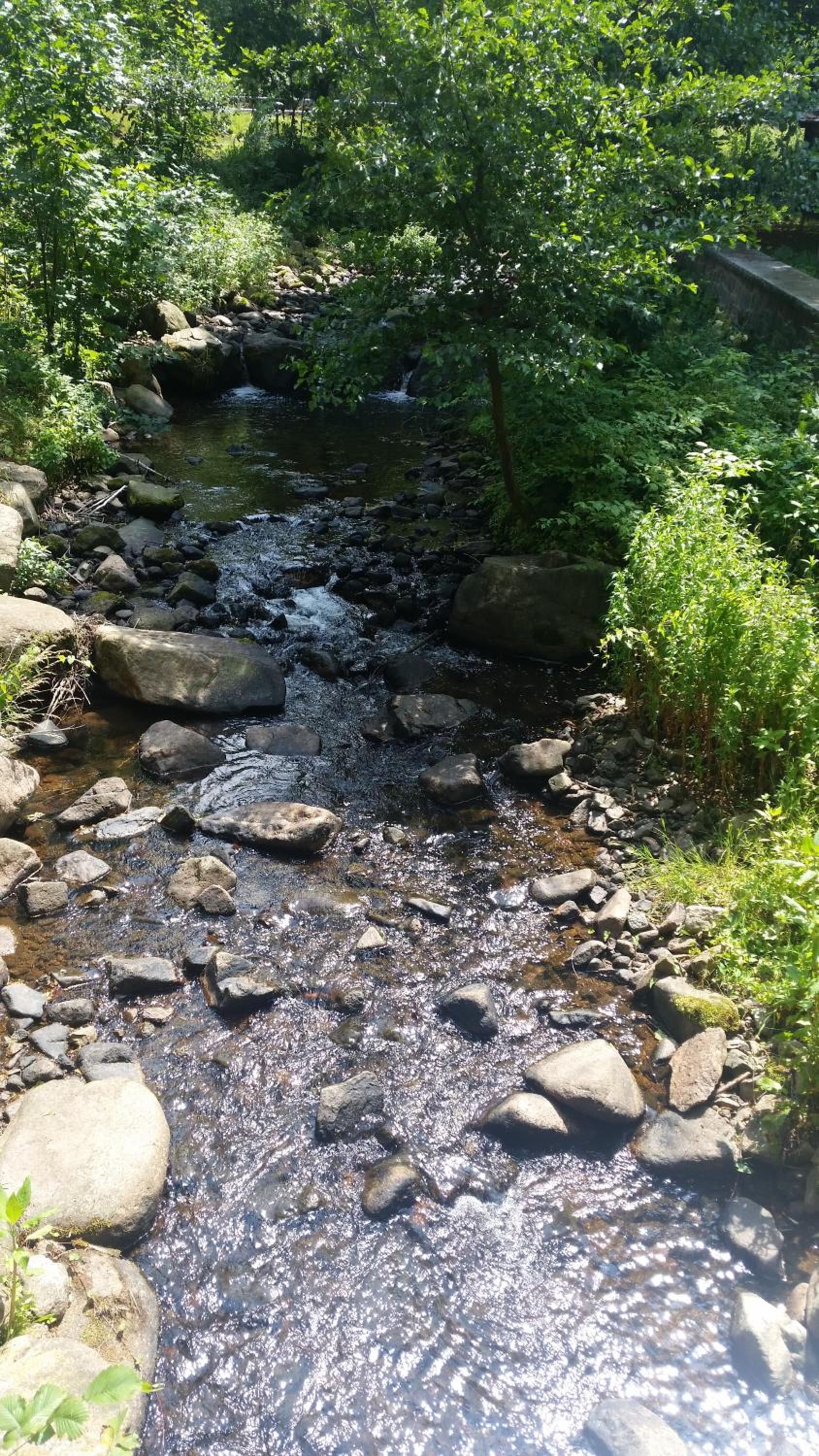Photo 31