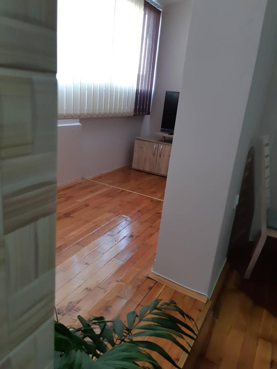 Stankovic Apartman view 5