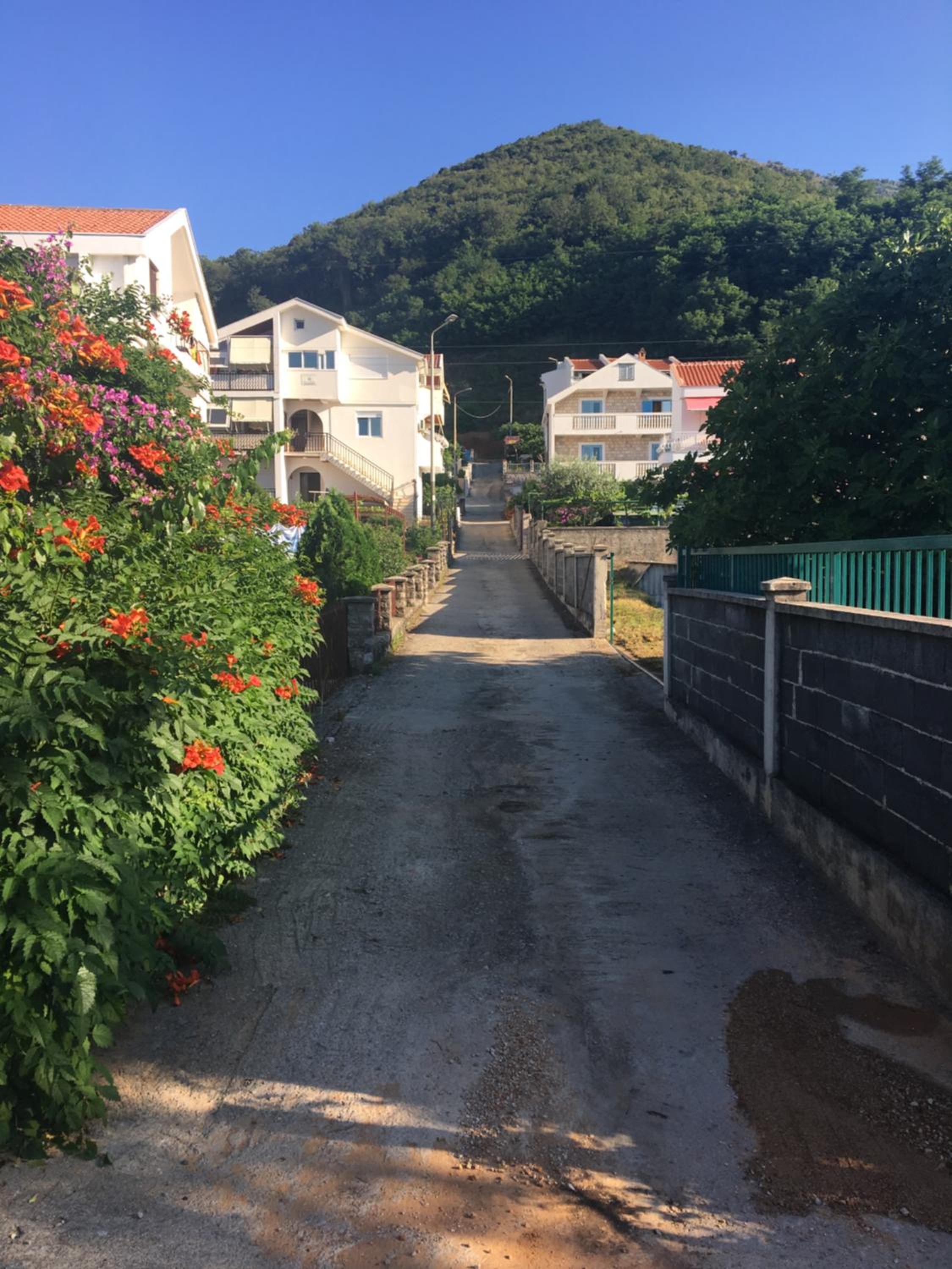 Apartment Nibim