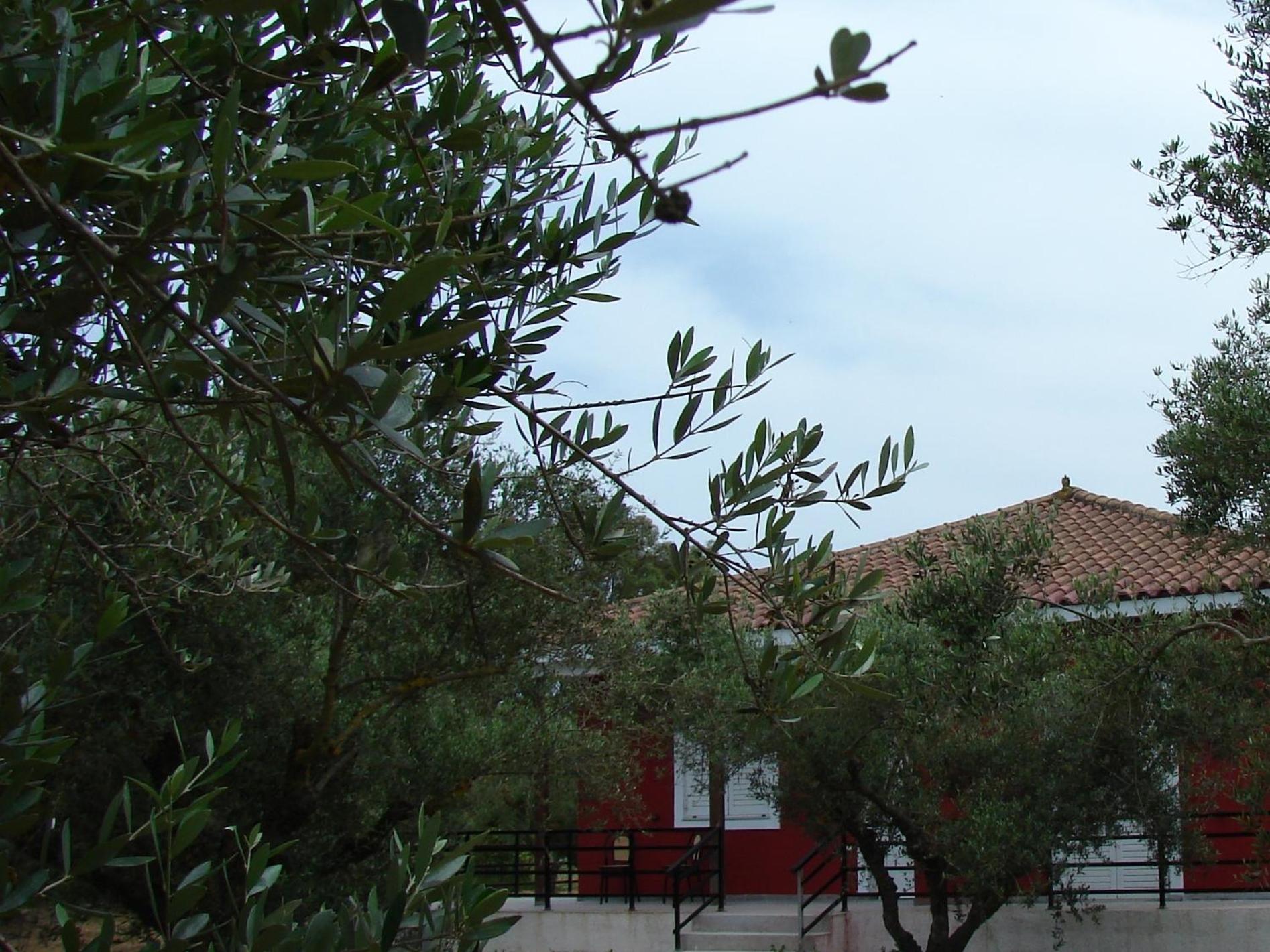Zante Green View view 2