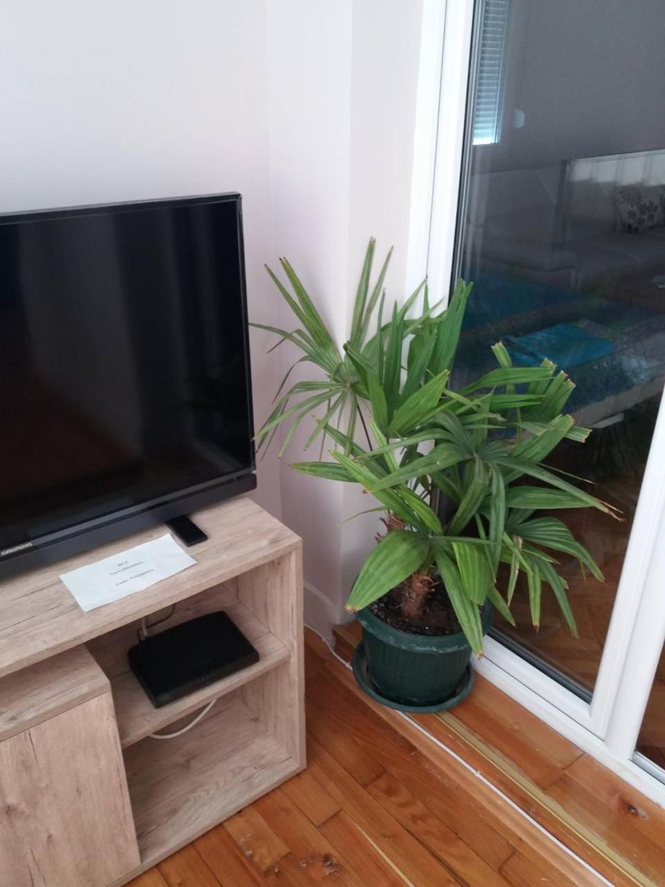 Stankovic Apartman view 3
