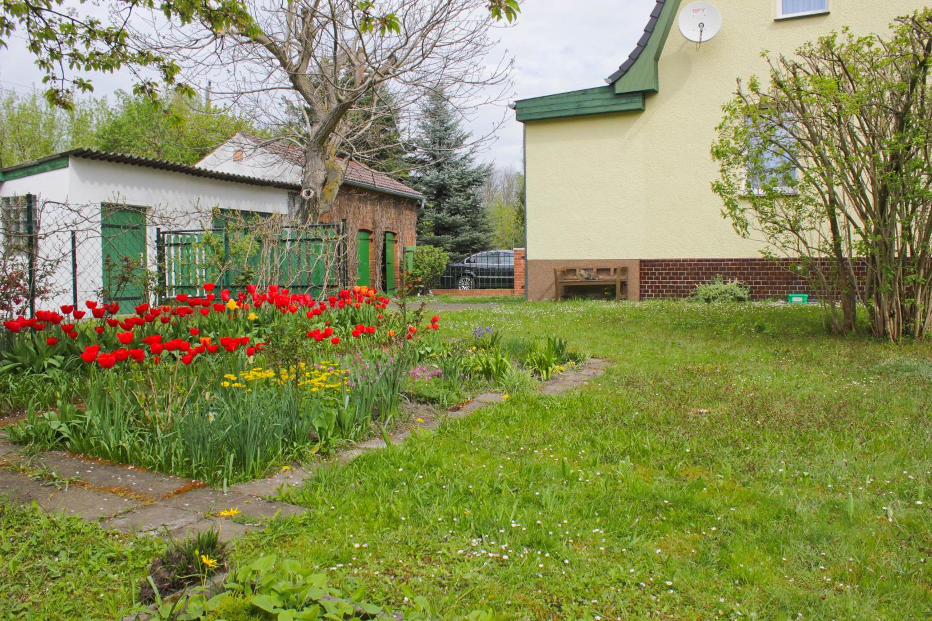 Photo 21
