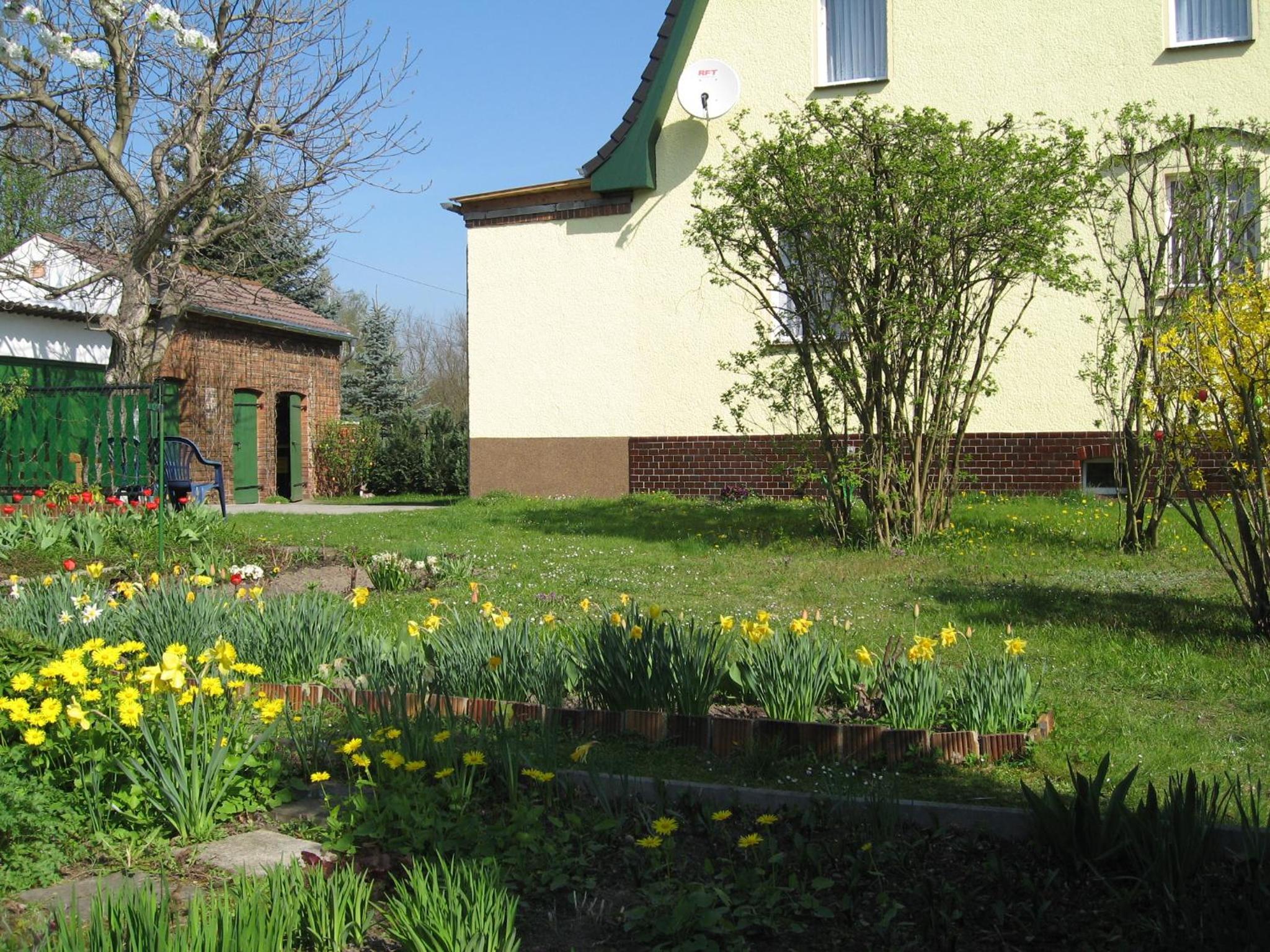 Photo 15