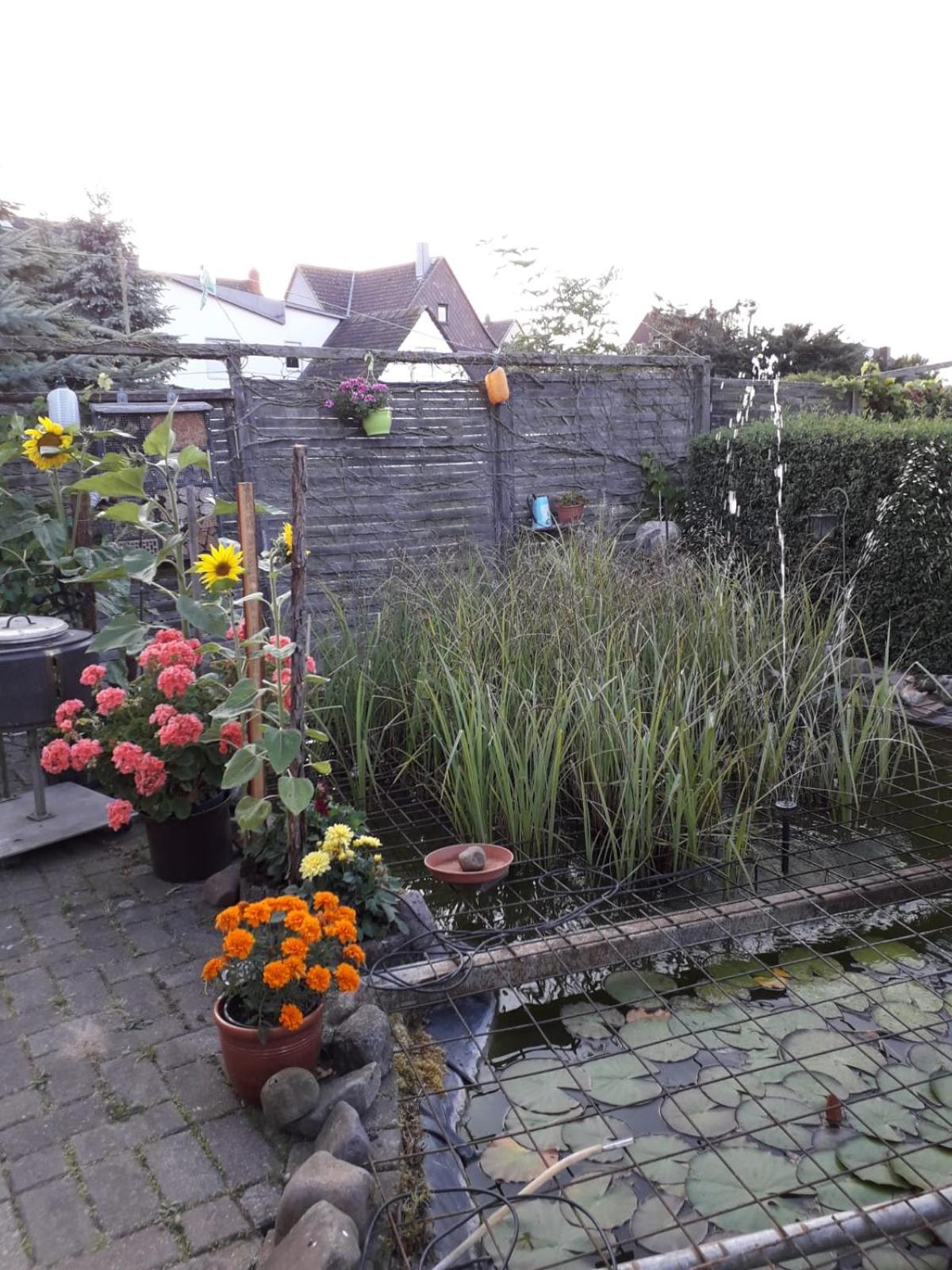 Ferienwohnung Grote view 3