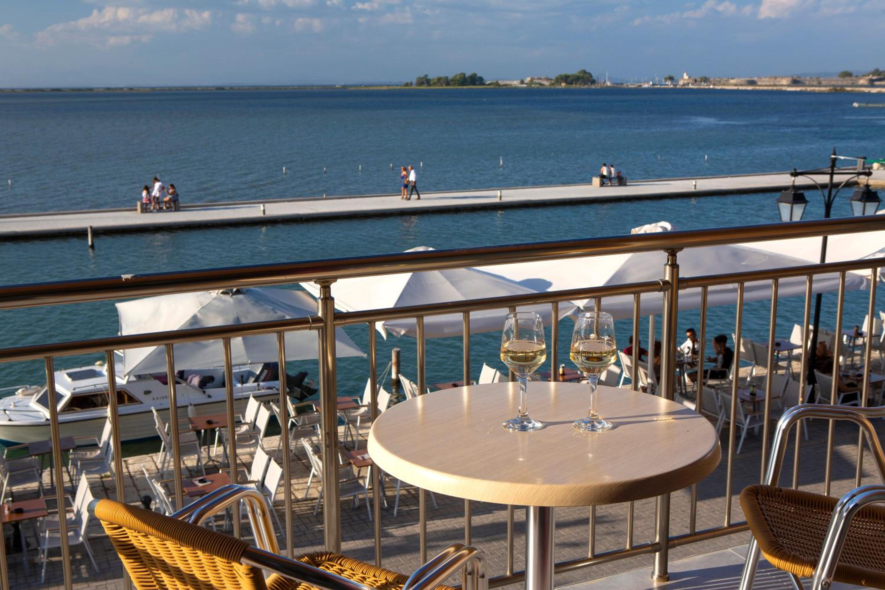 Excess Pansion photo 2