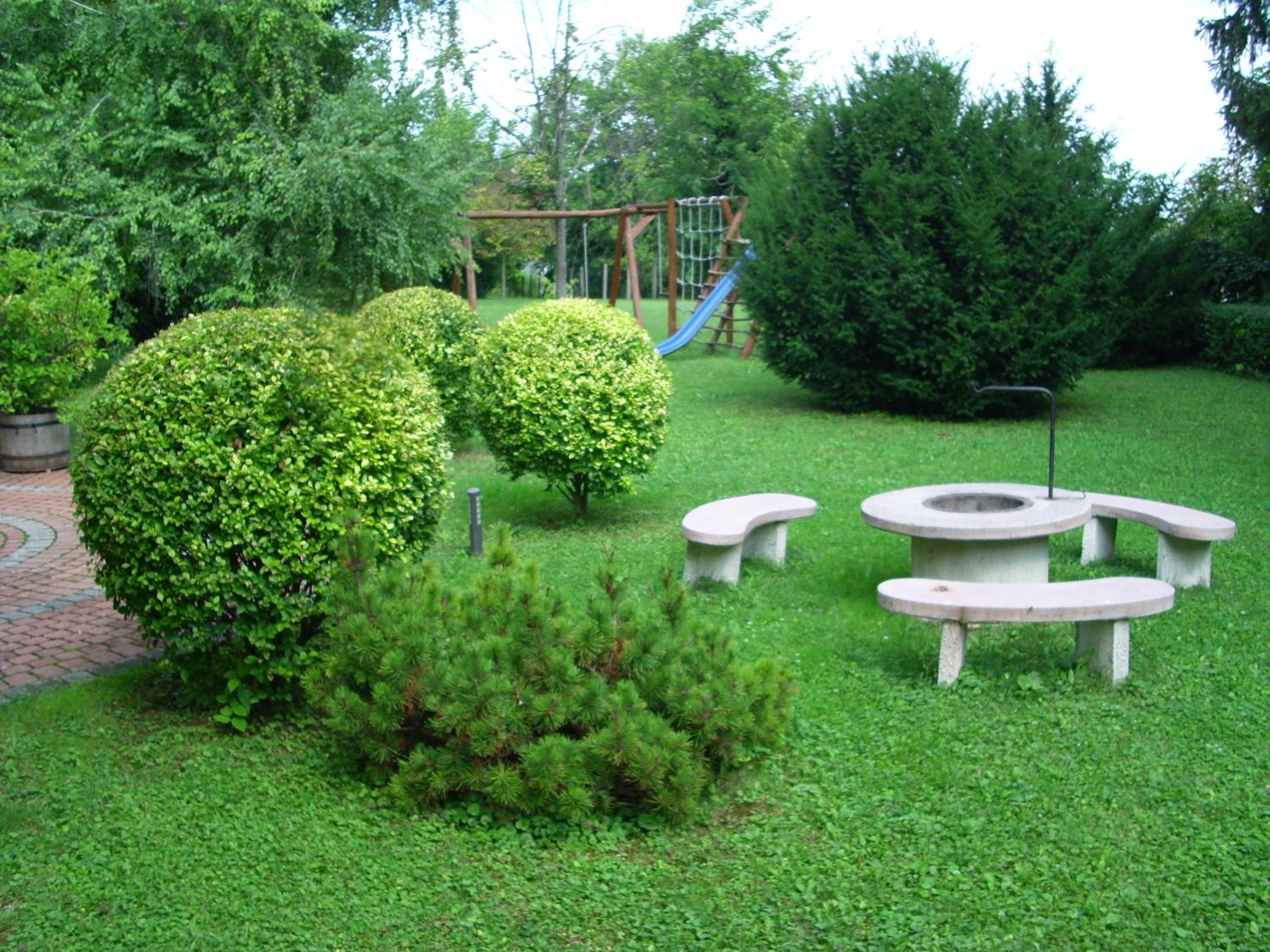 Photo 24