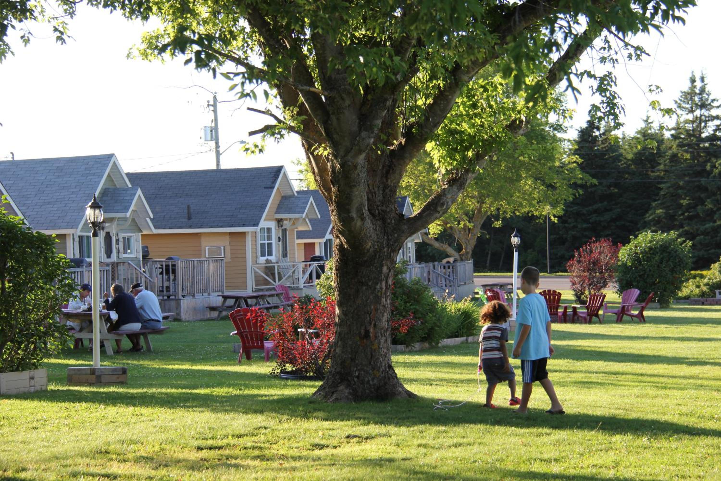 Avonlea Cottages