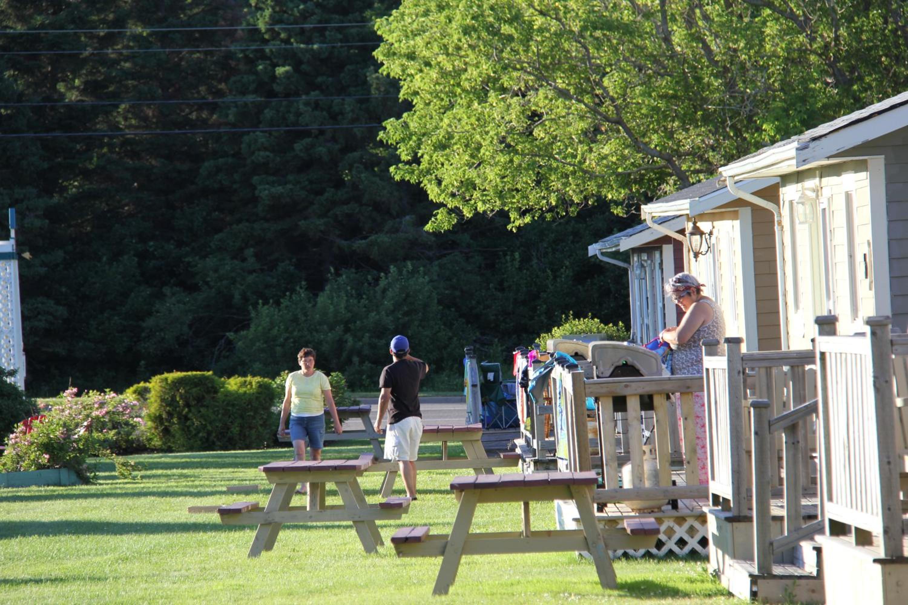 Avonlea Cottages