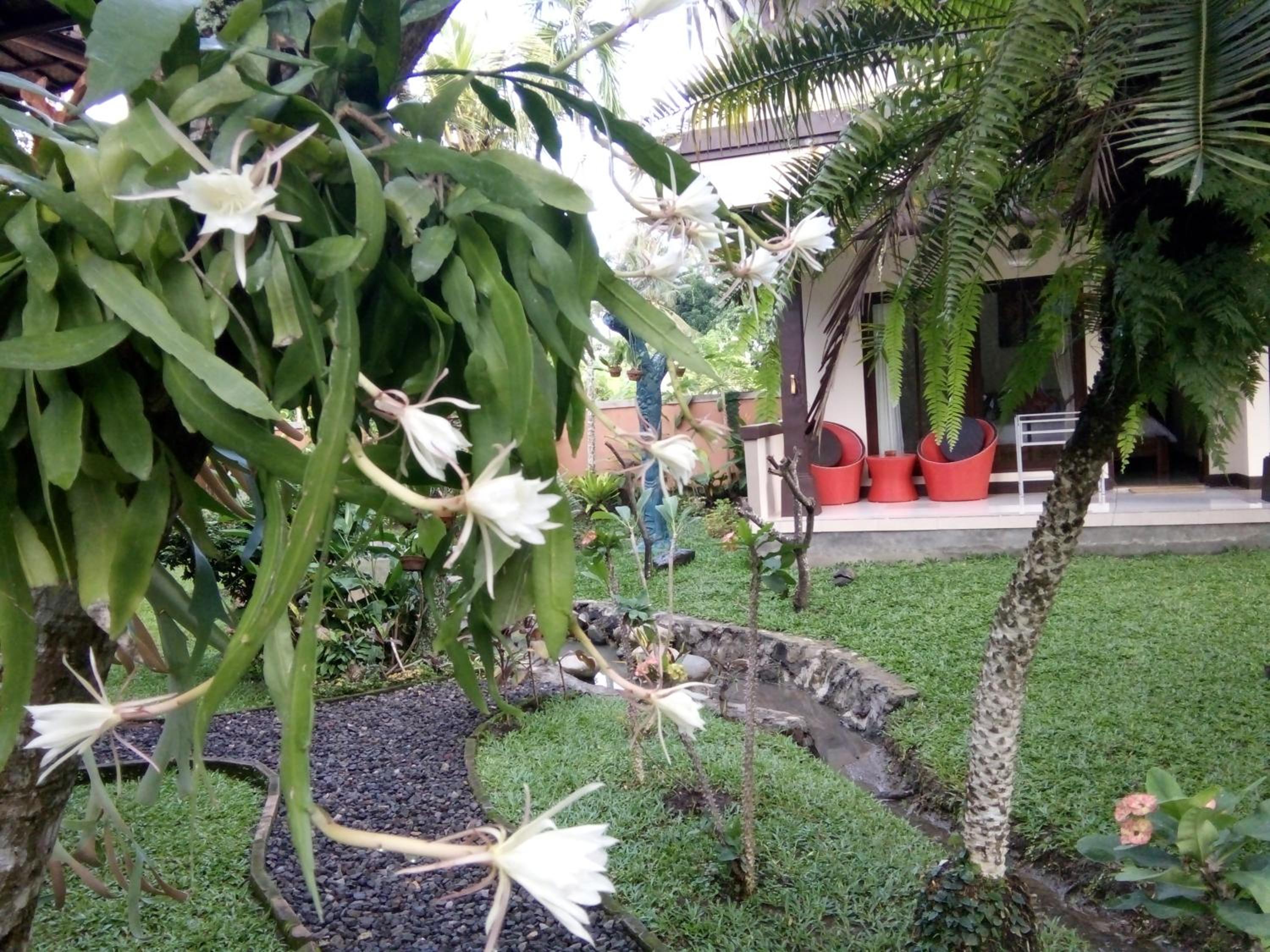 Photo 47