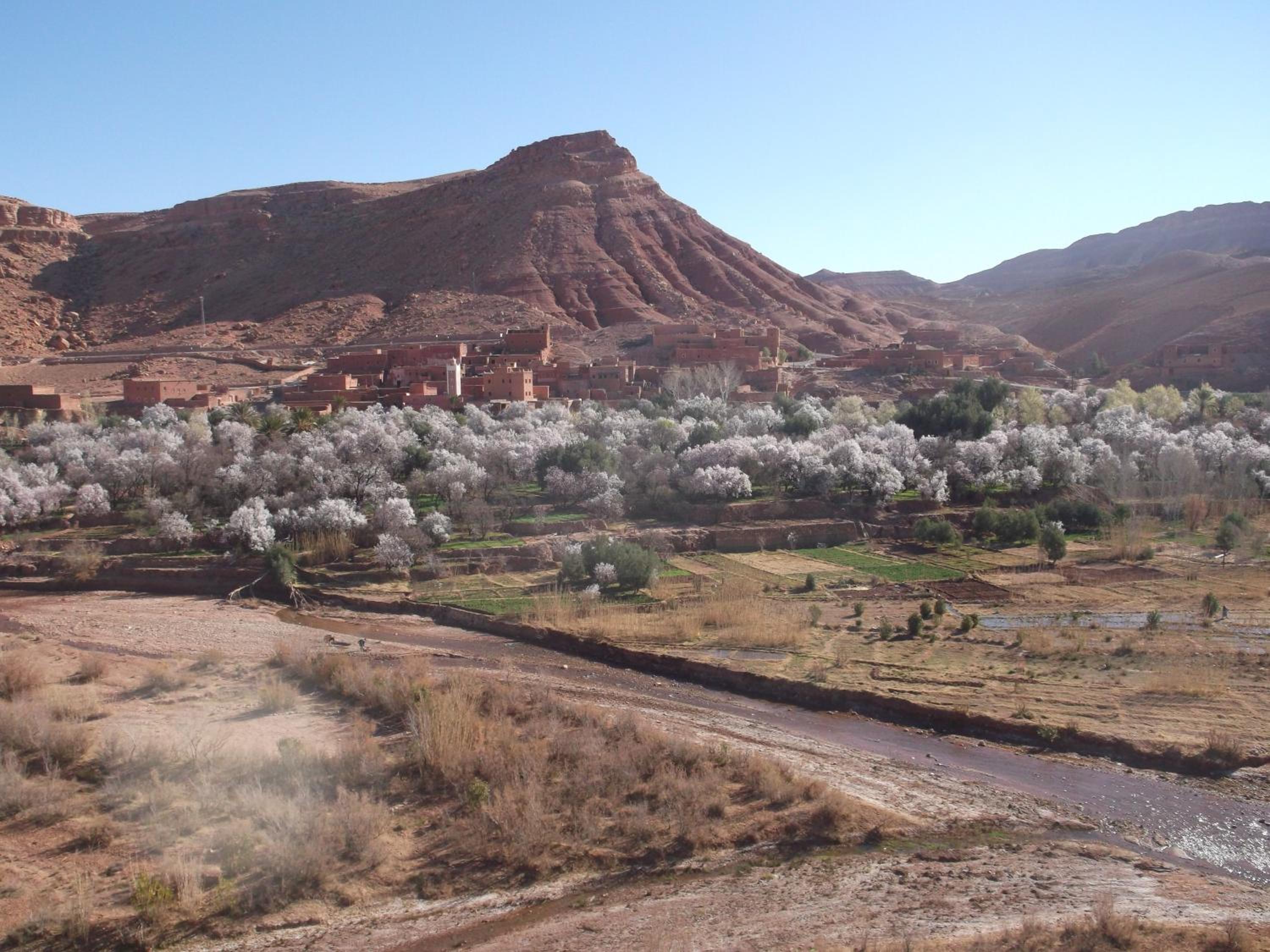 Kasbah Ounila