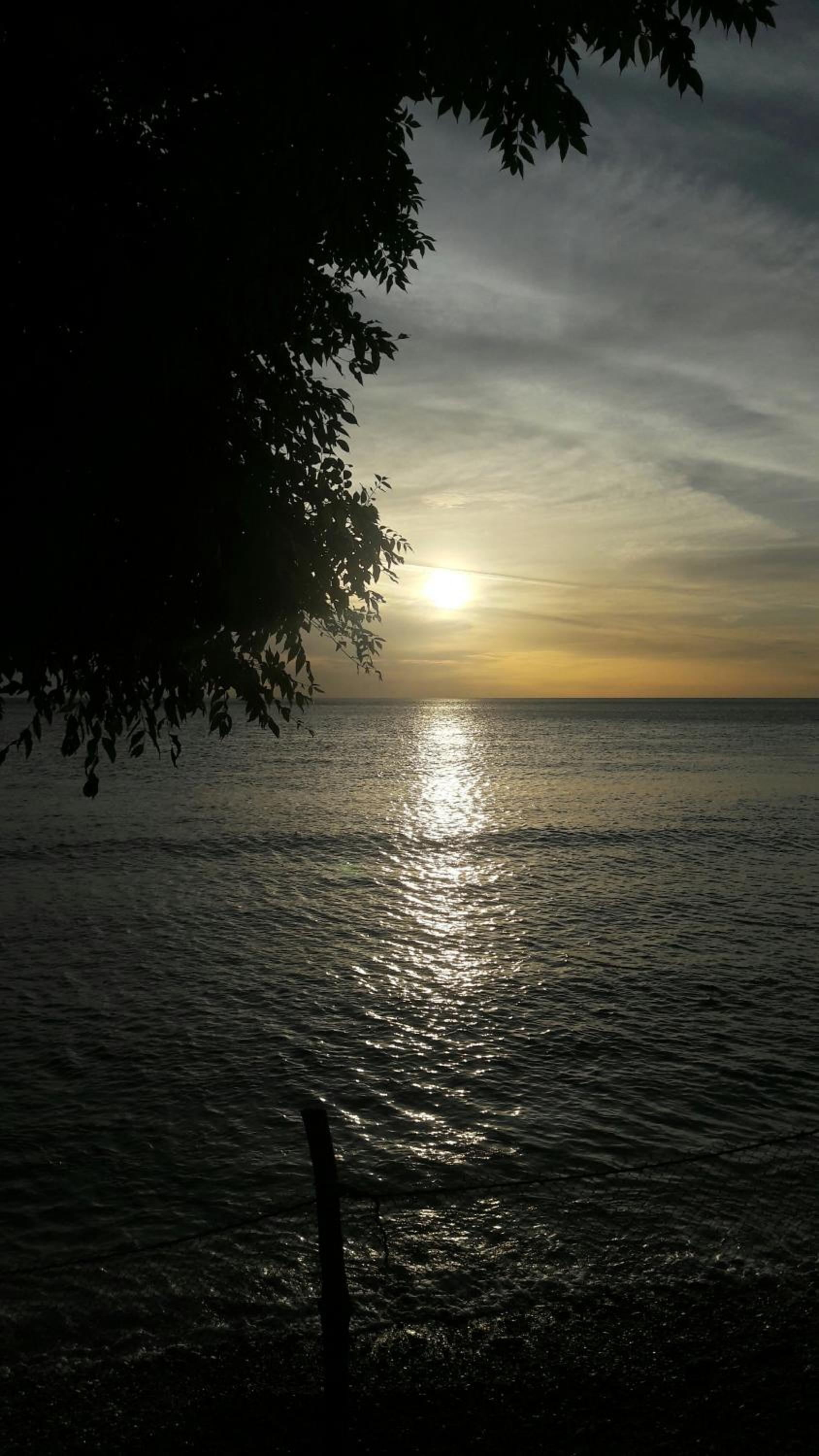 AAL Homestay Syariah view 4