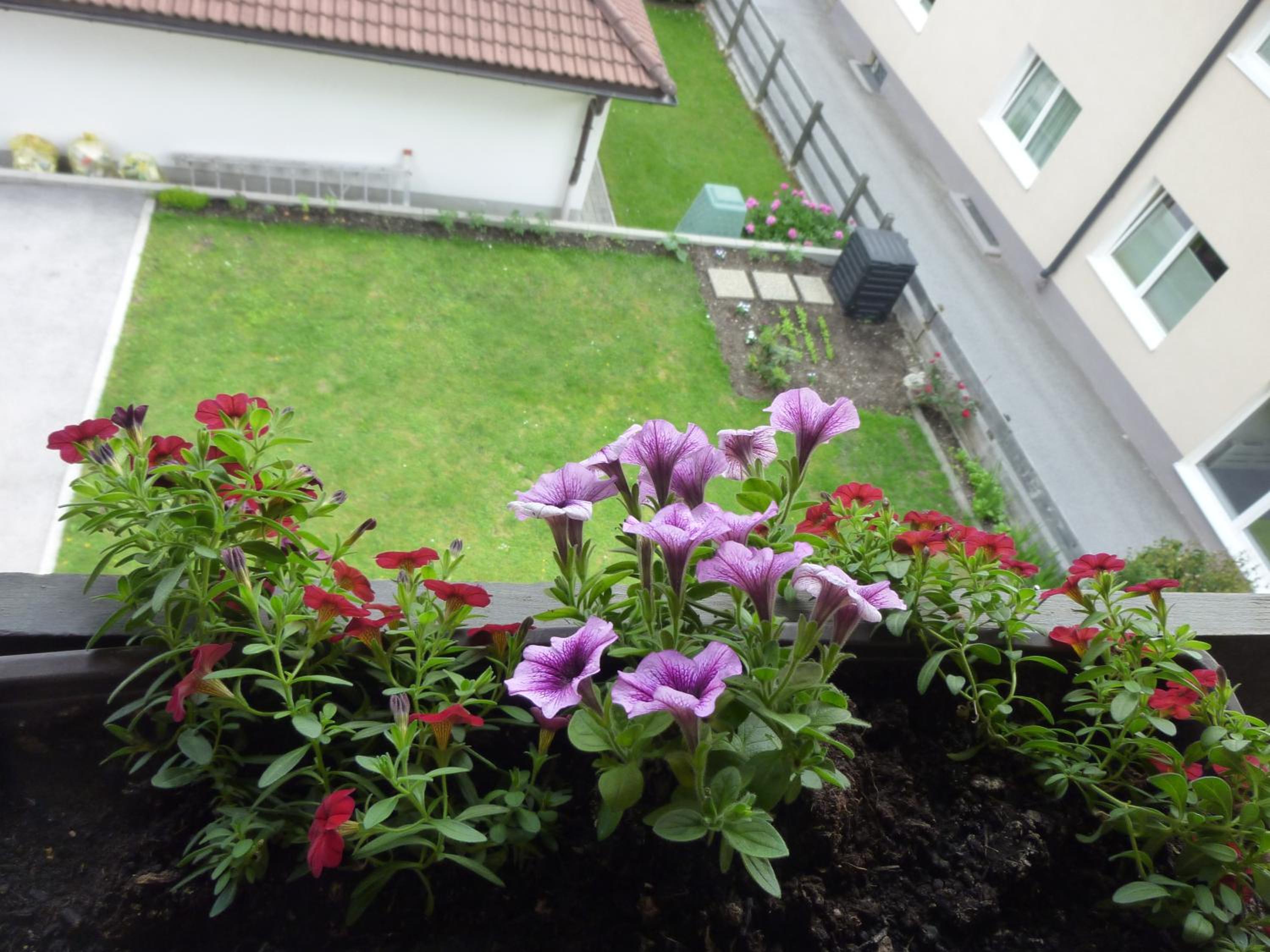 Pension zu Hause