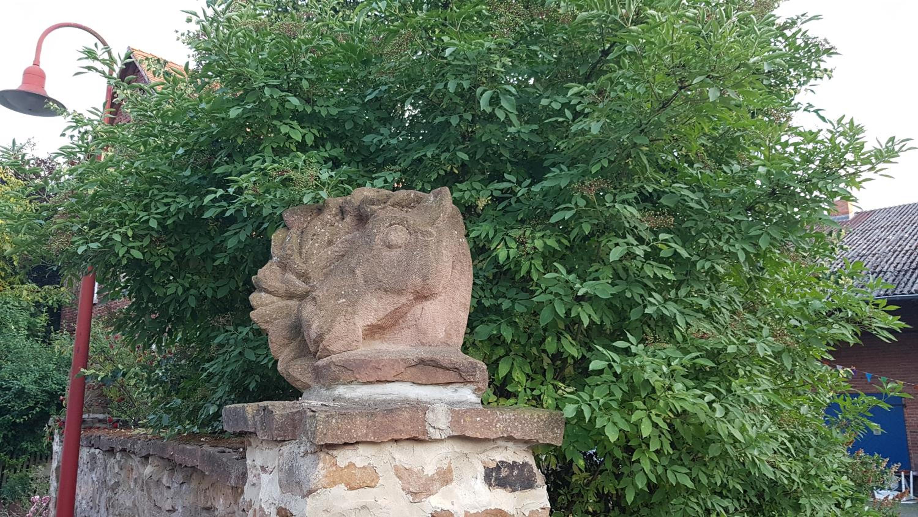 Photo 18