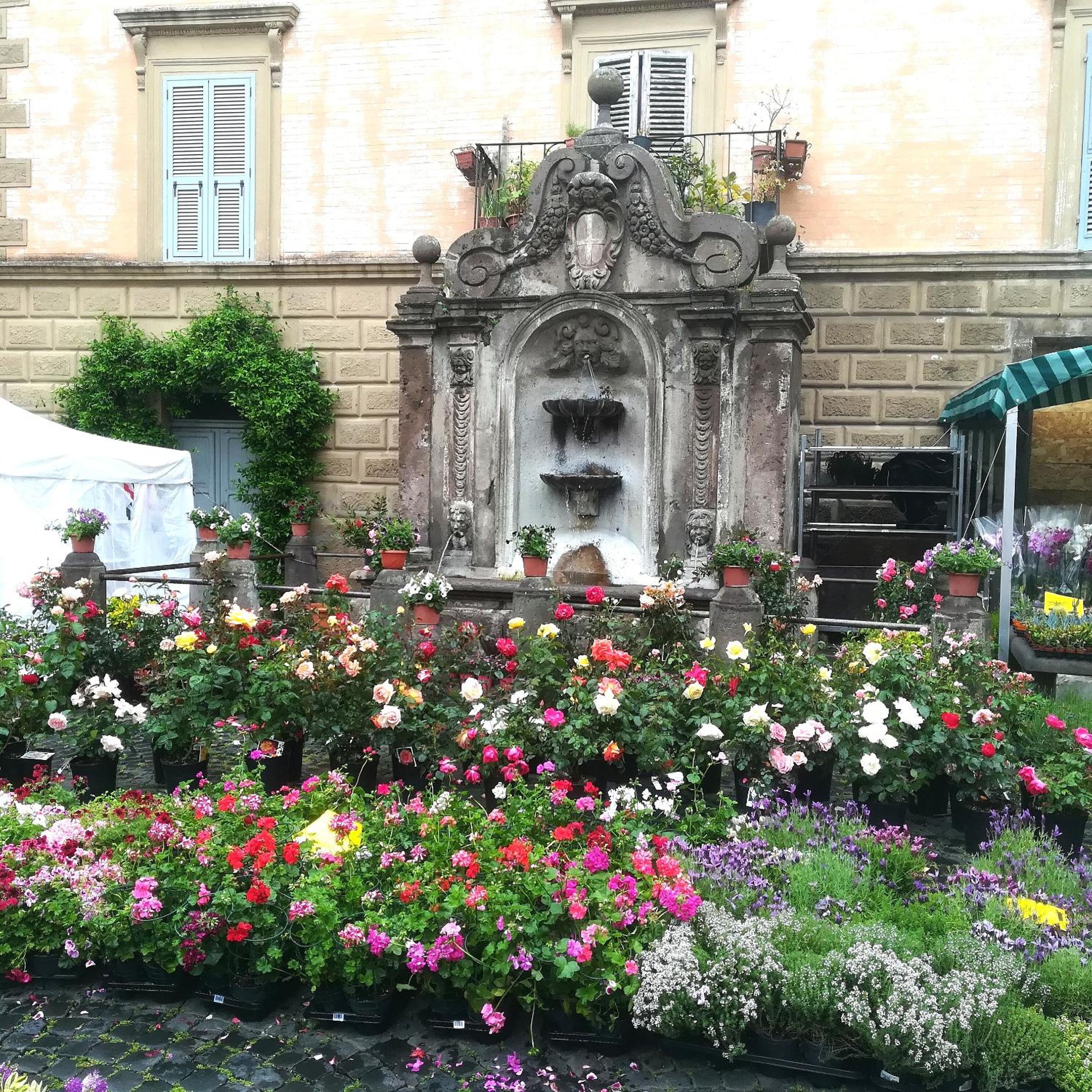 La Terrazza, photo 25