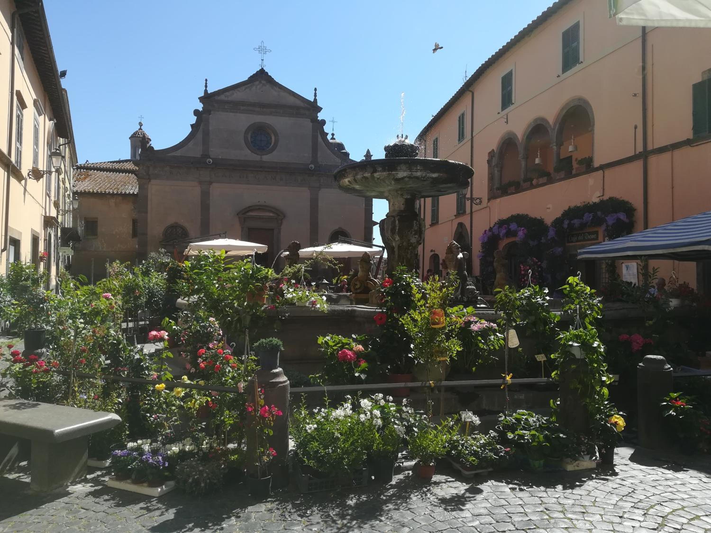 La Terrazza, photo 56