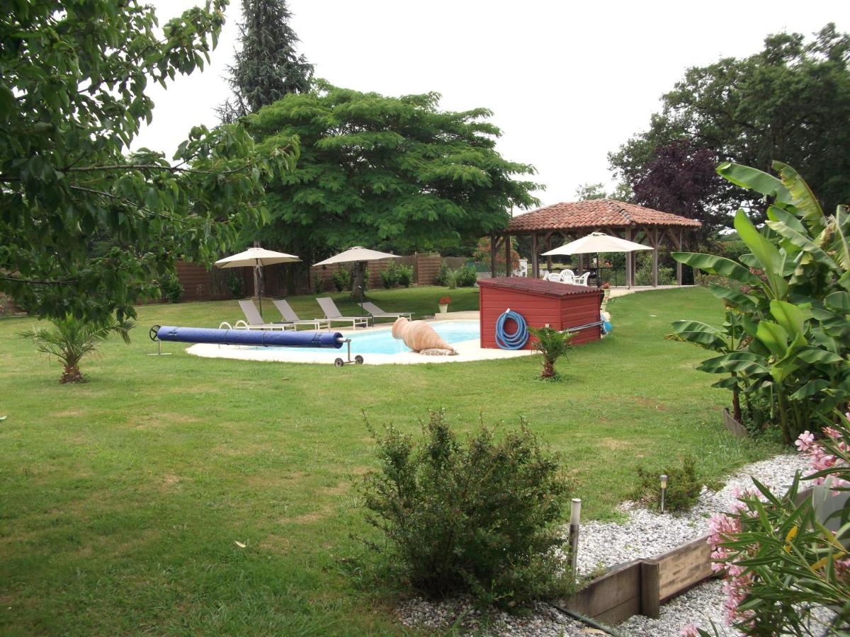 Photo 19