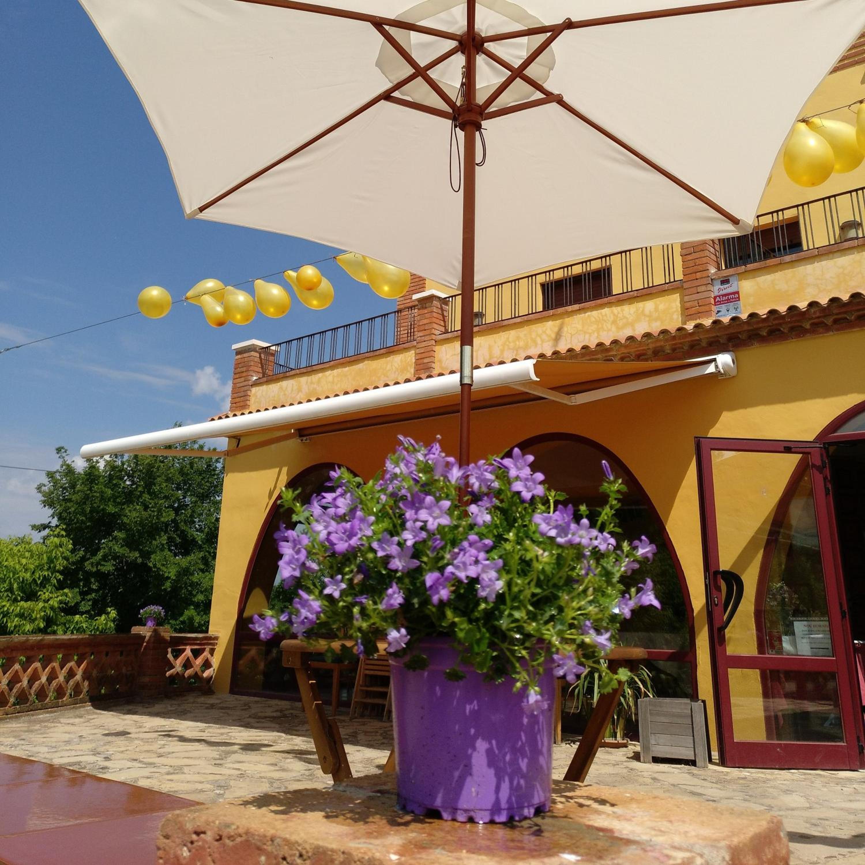 Mas Trucafort - Masia Braseria - Alojamiento Adults only view 2