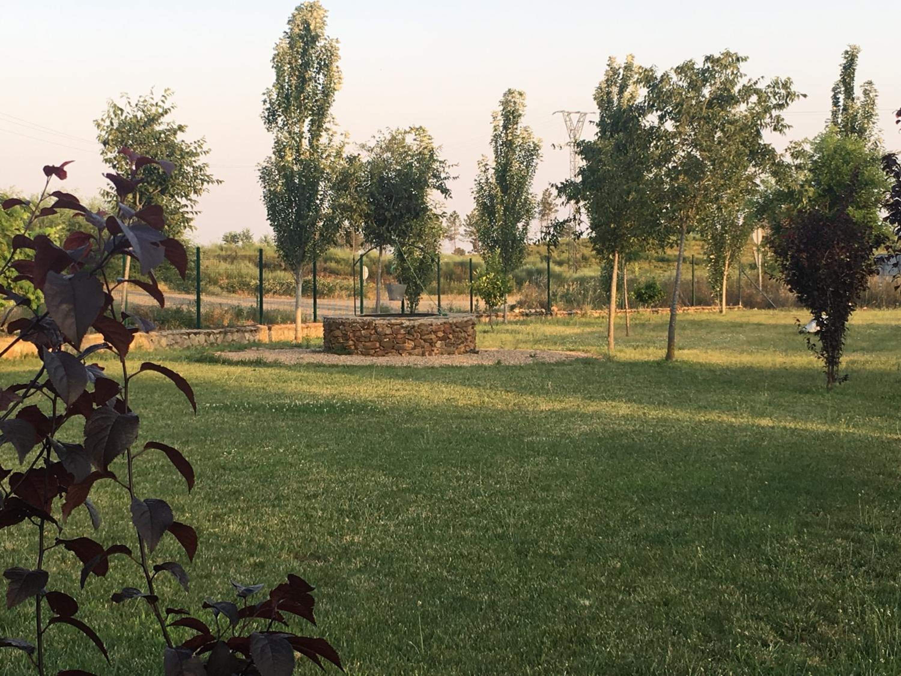 Photo 21