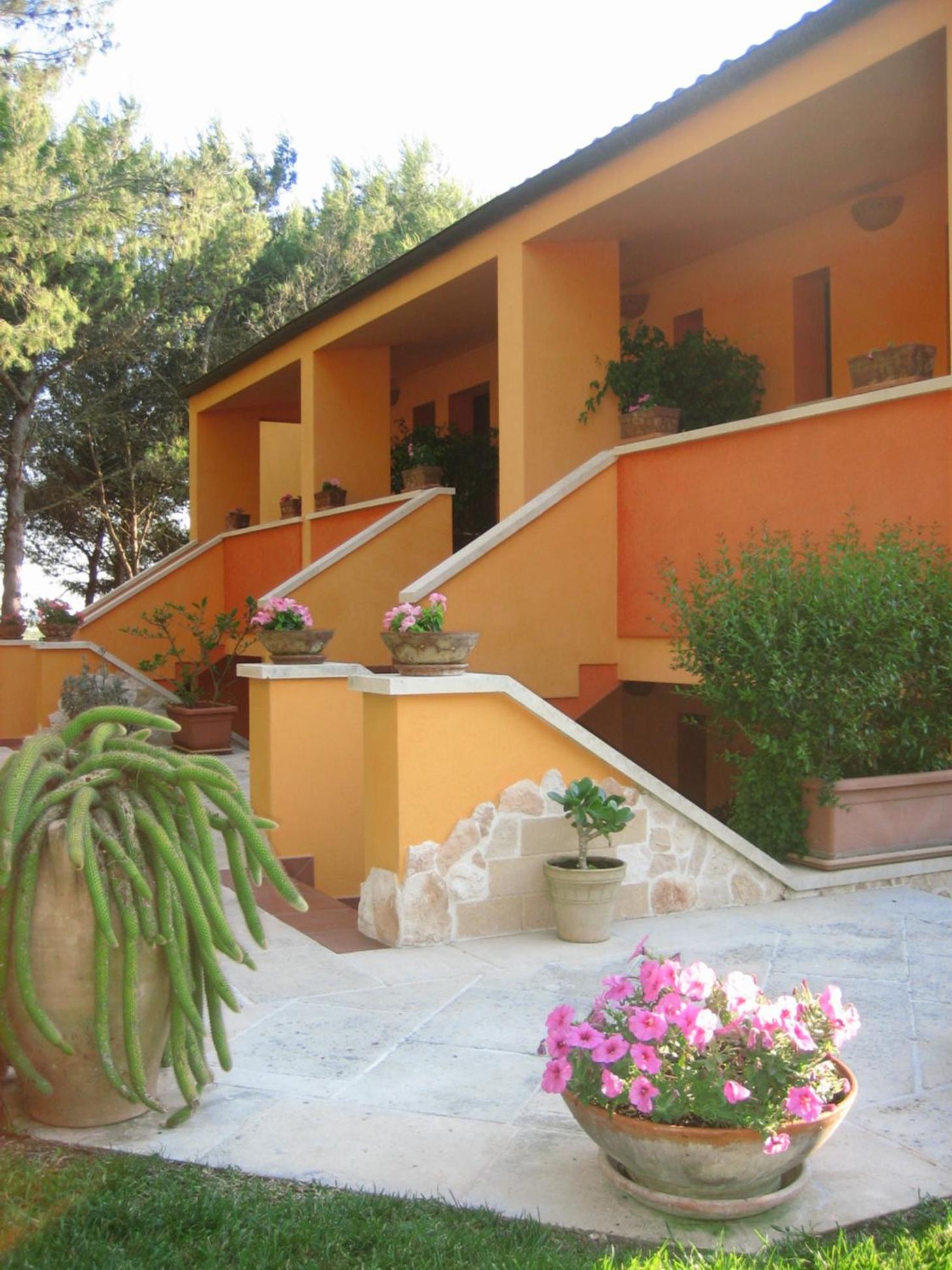 Sole del Mediterraneo