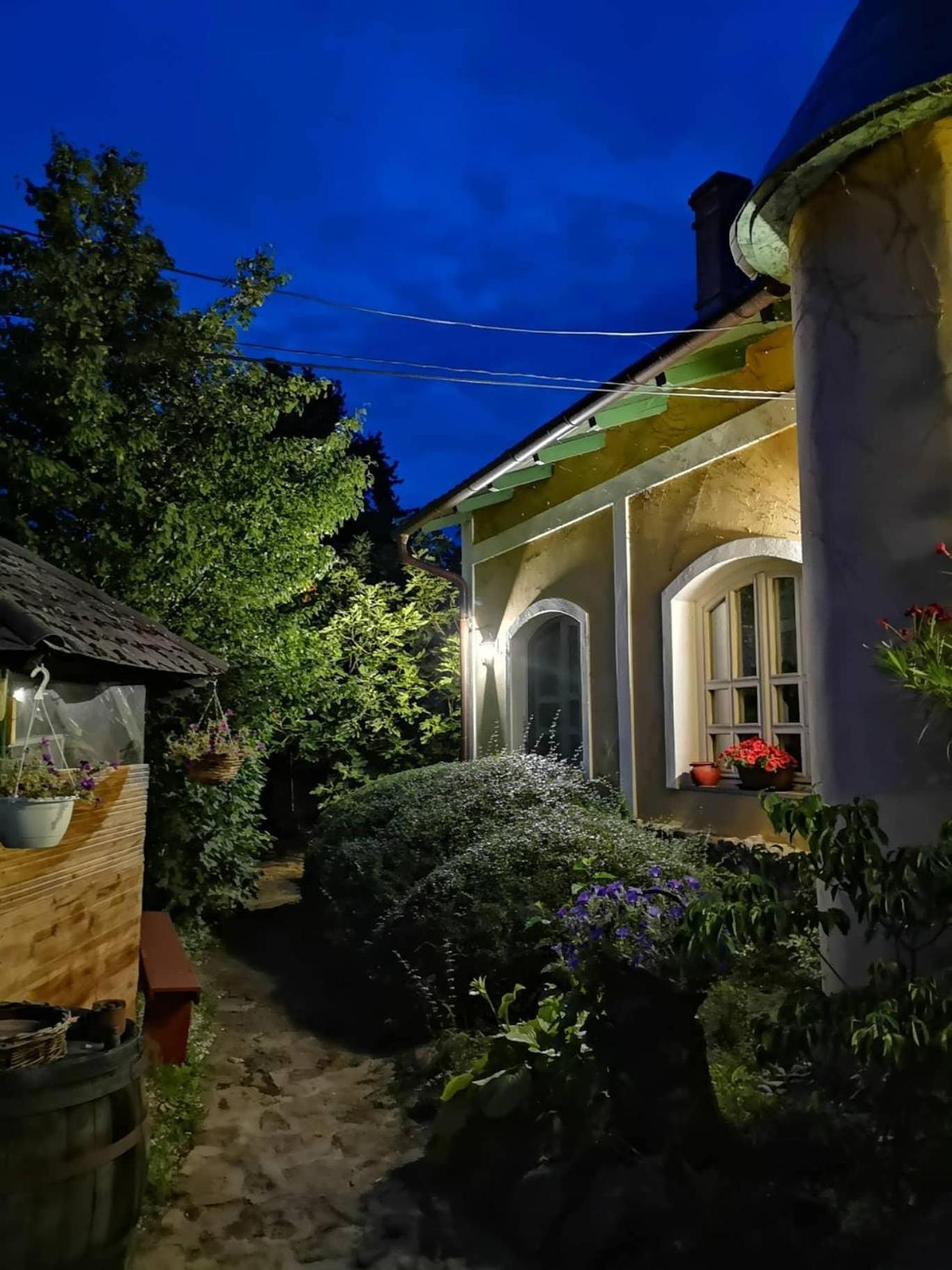 Photo 9