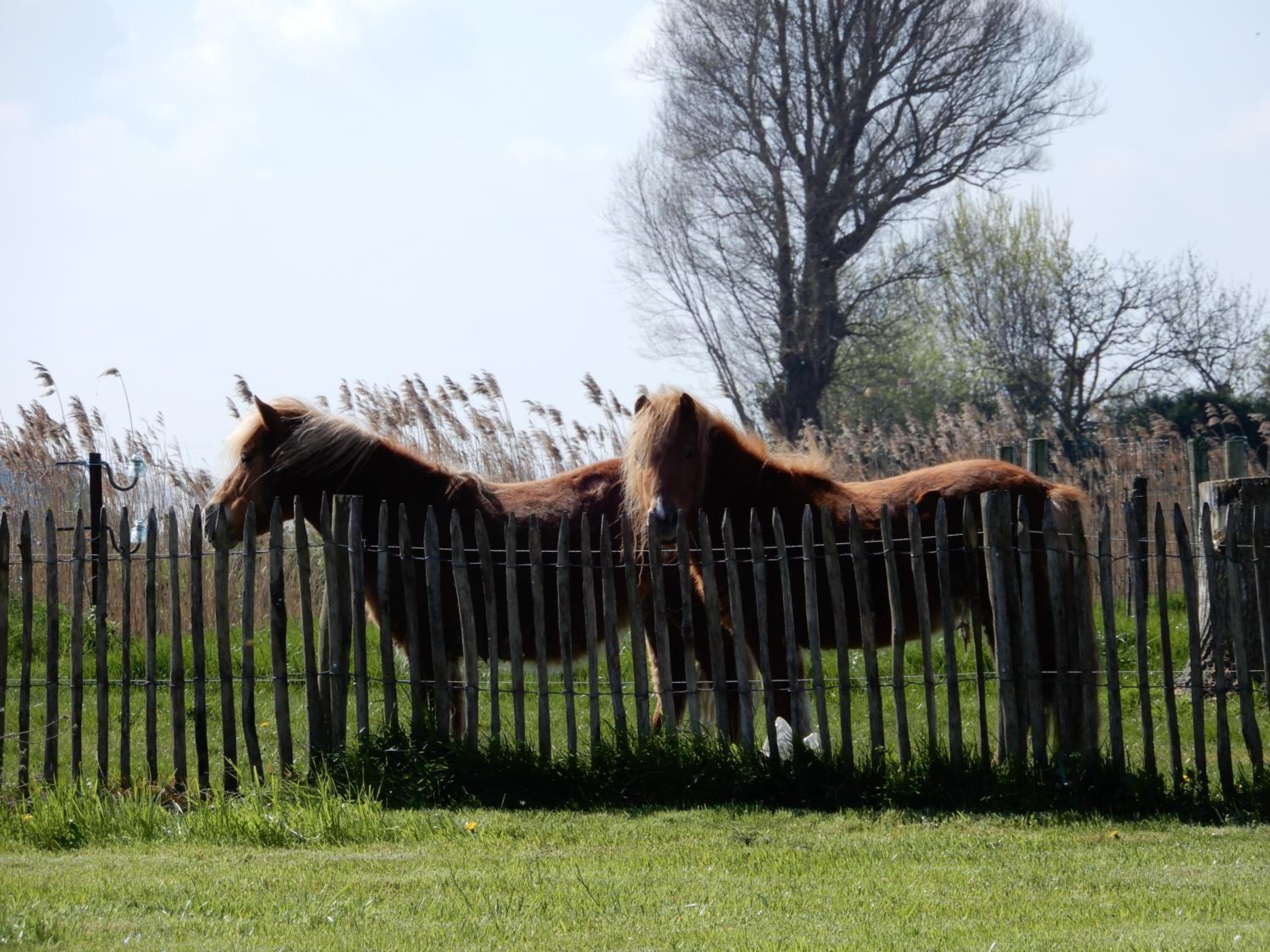 Holiday Home Cuylehoeve