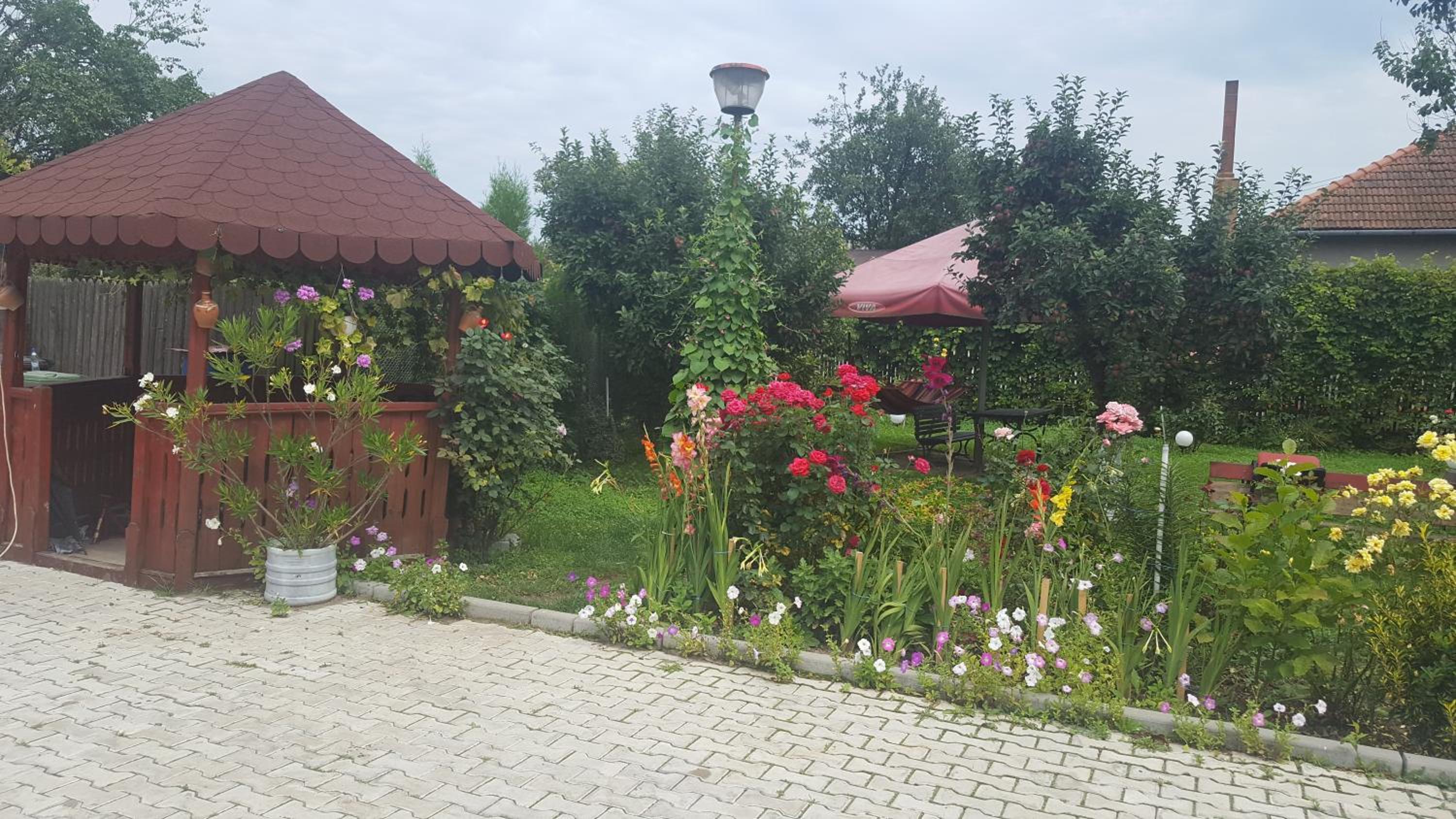Photo 21
