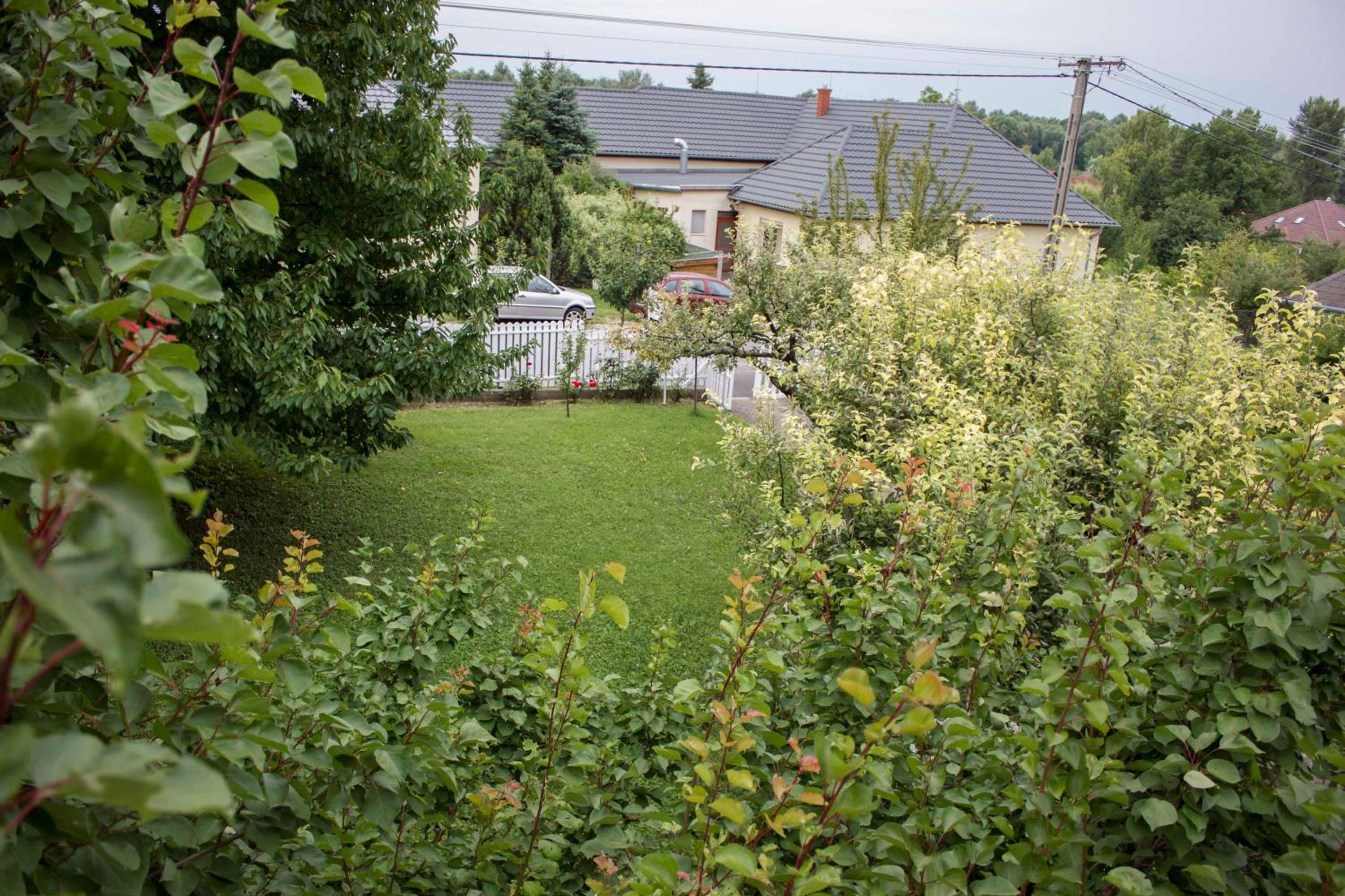 Photo 30