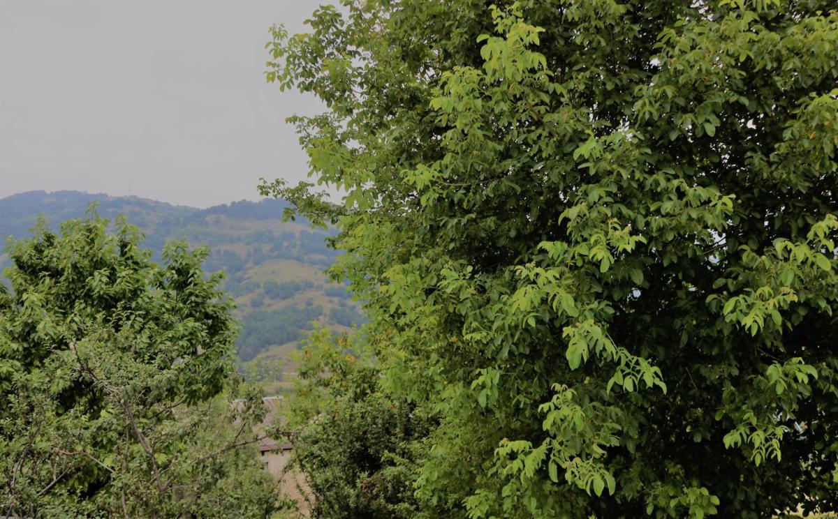 Dilijan Family House