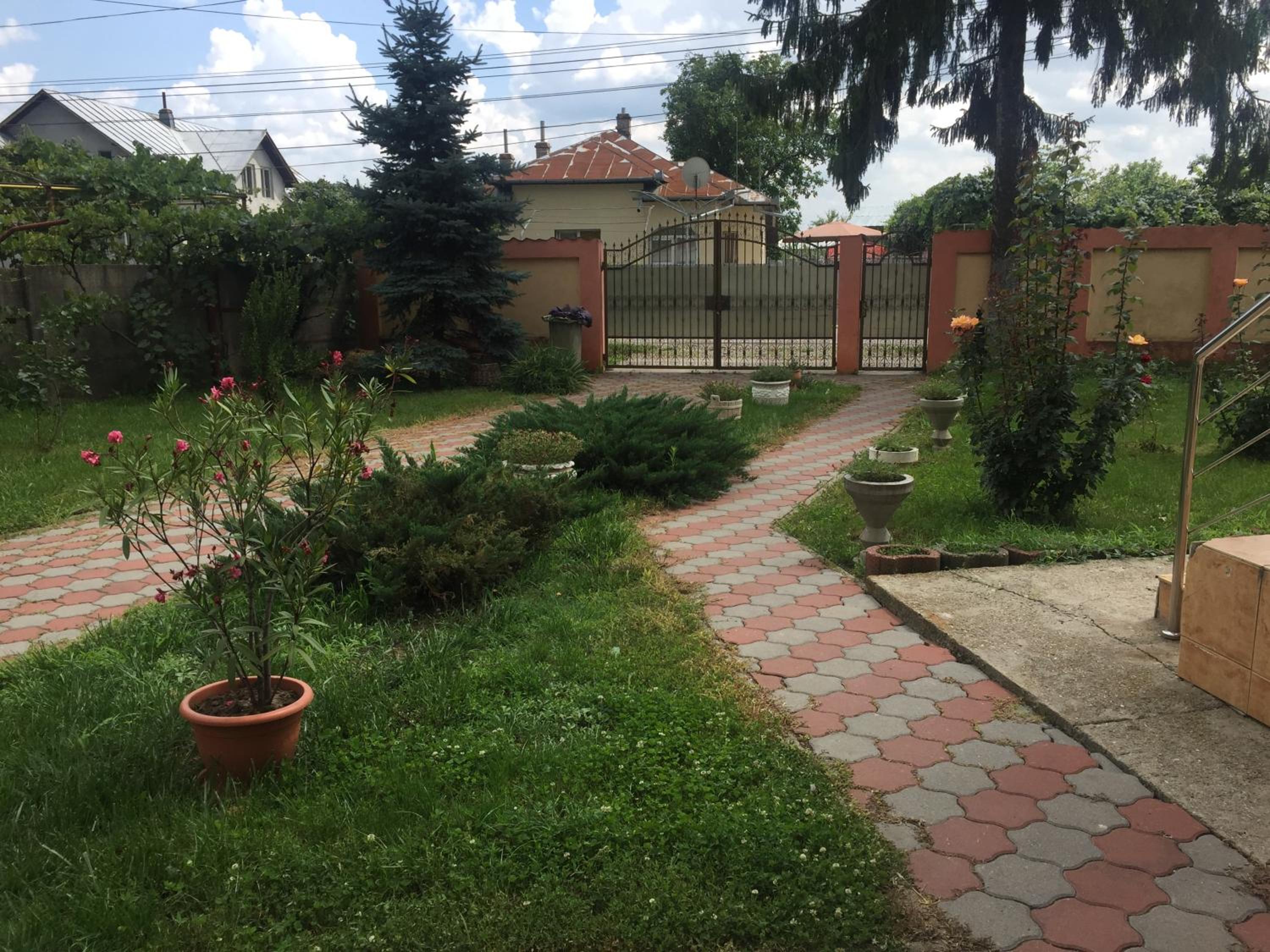 Photo 36