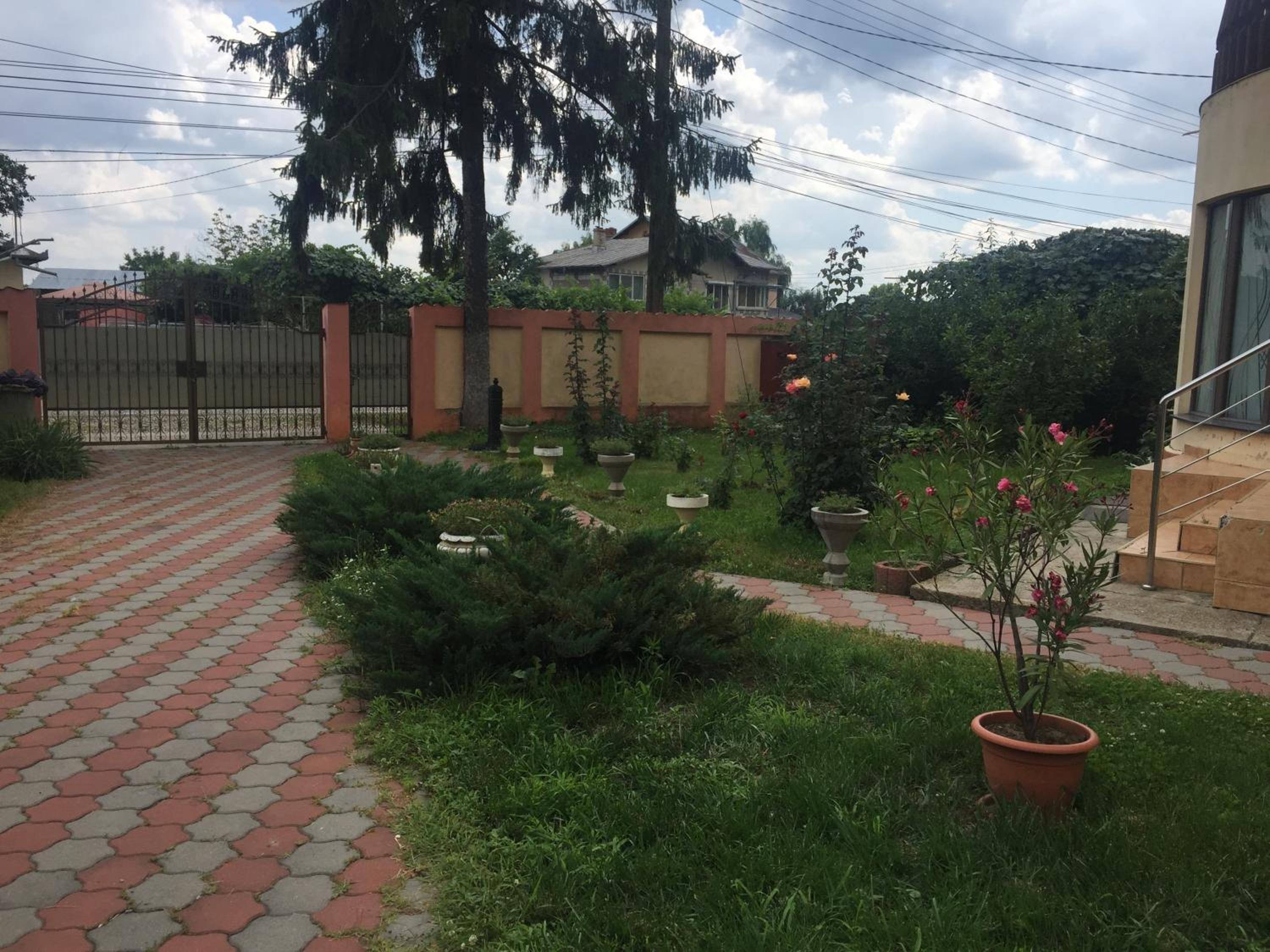 Photo 37