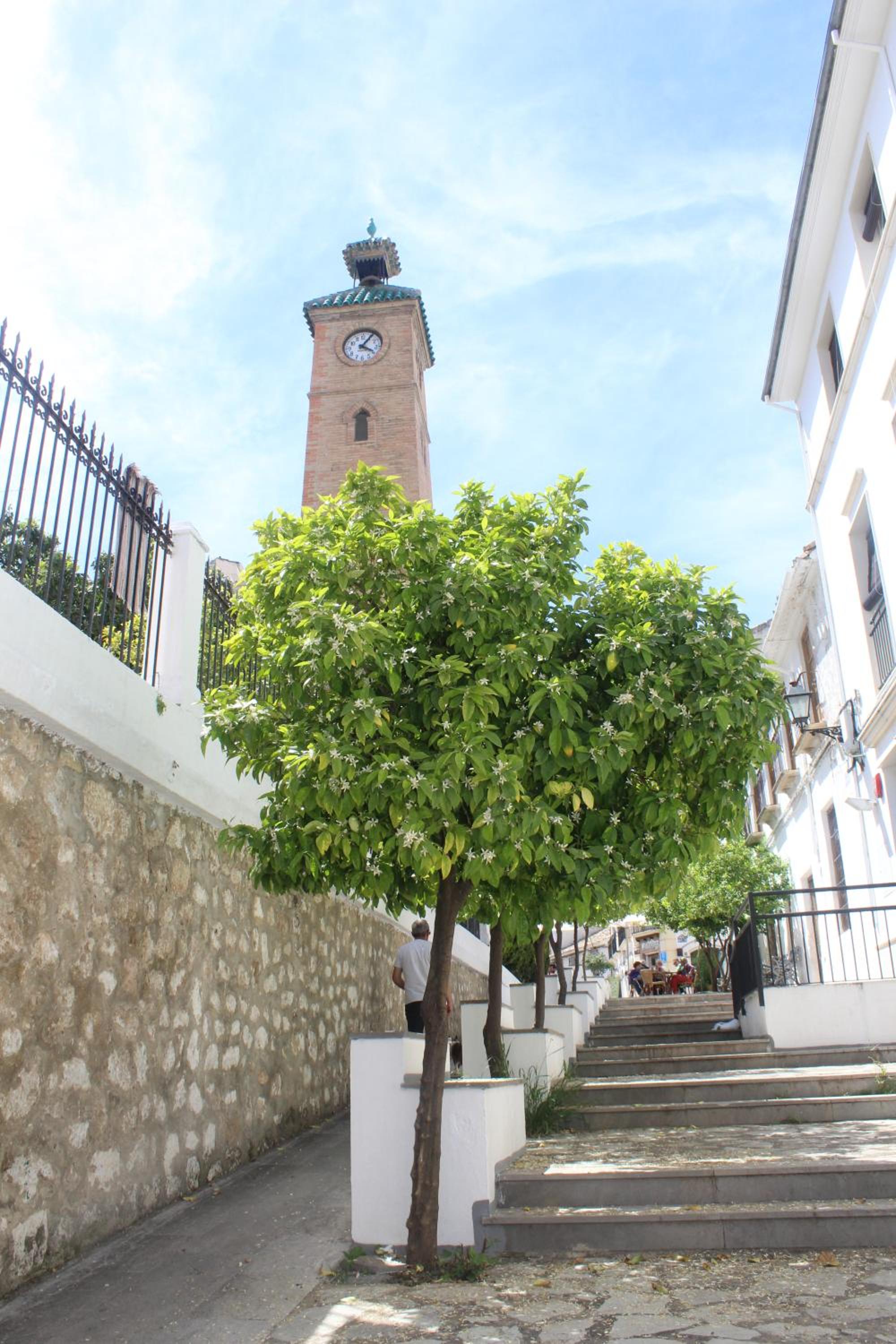 Photo 16
