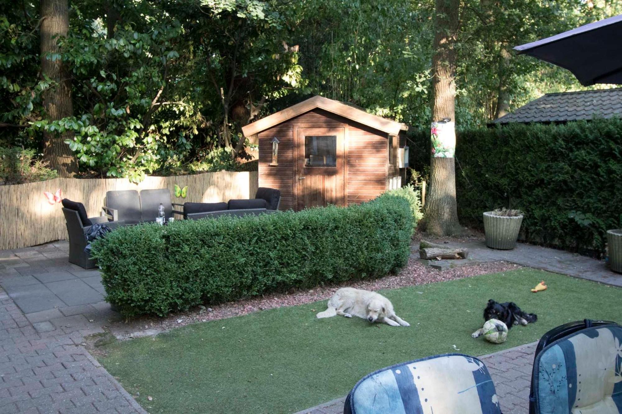 Photo 21