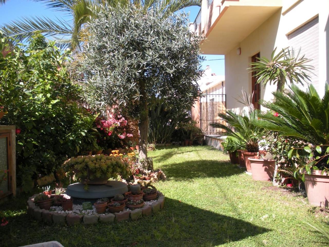 The Garden view 3