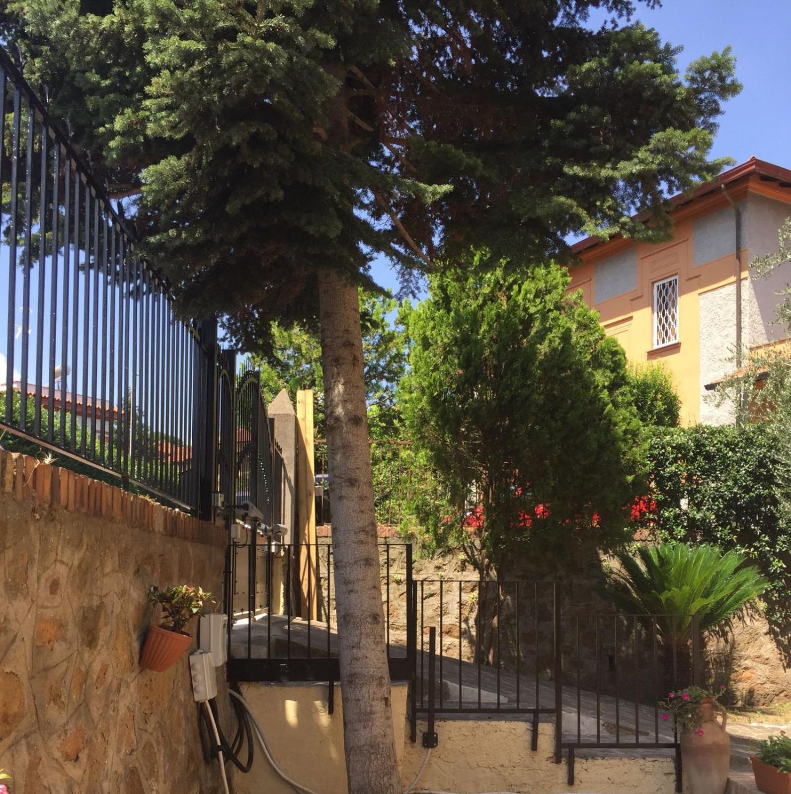 Il Giardino Al Pigneto