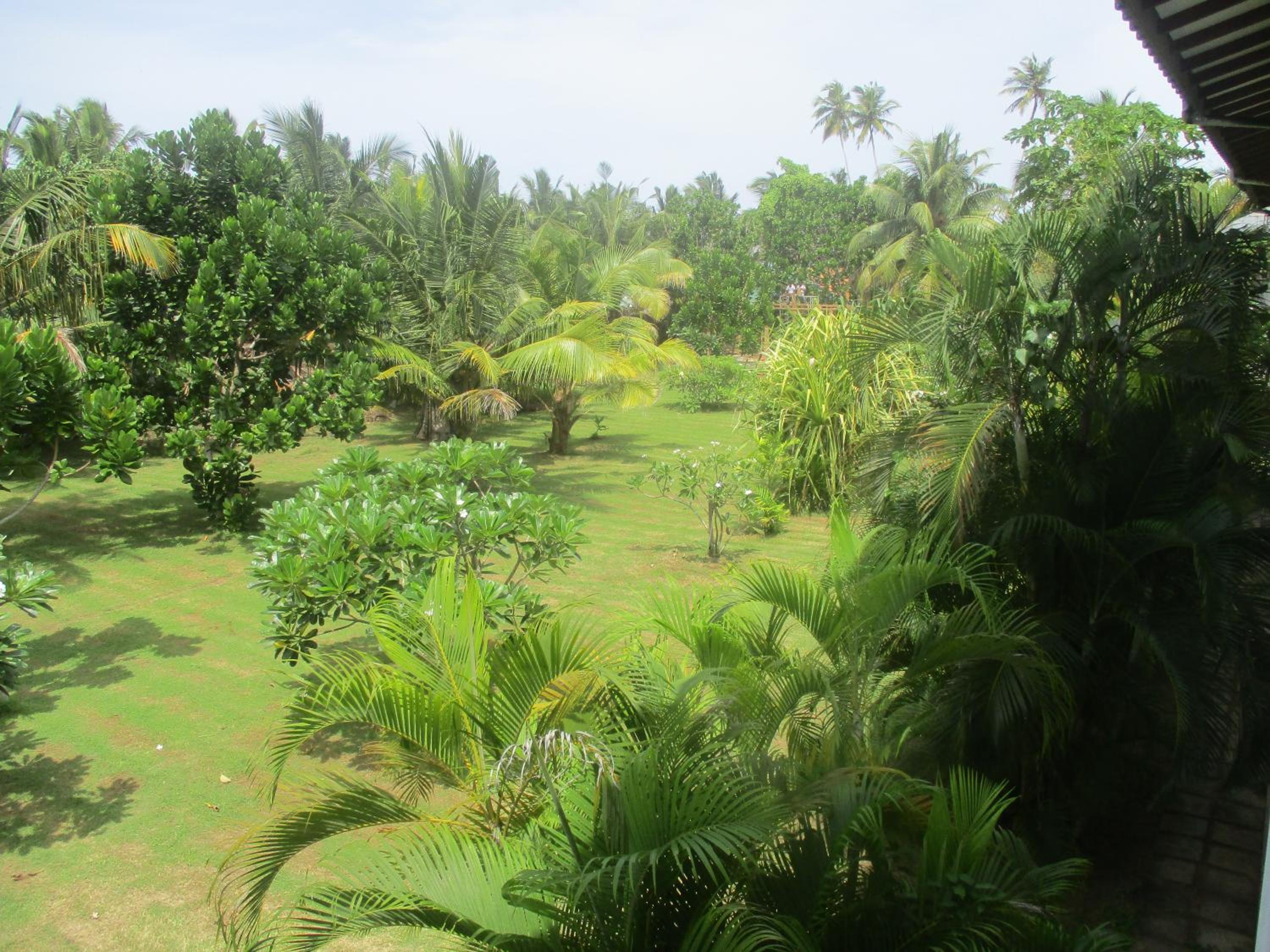 Raja Beach Hotel