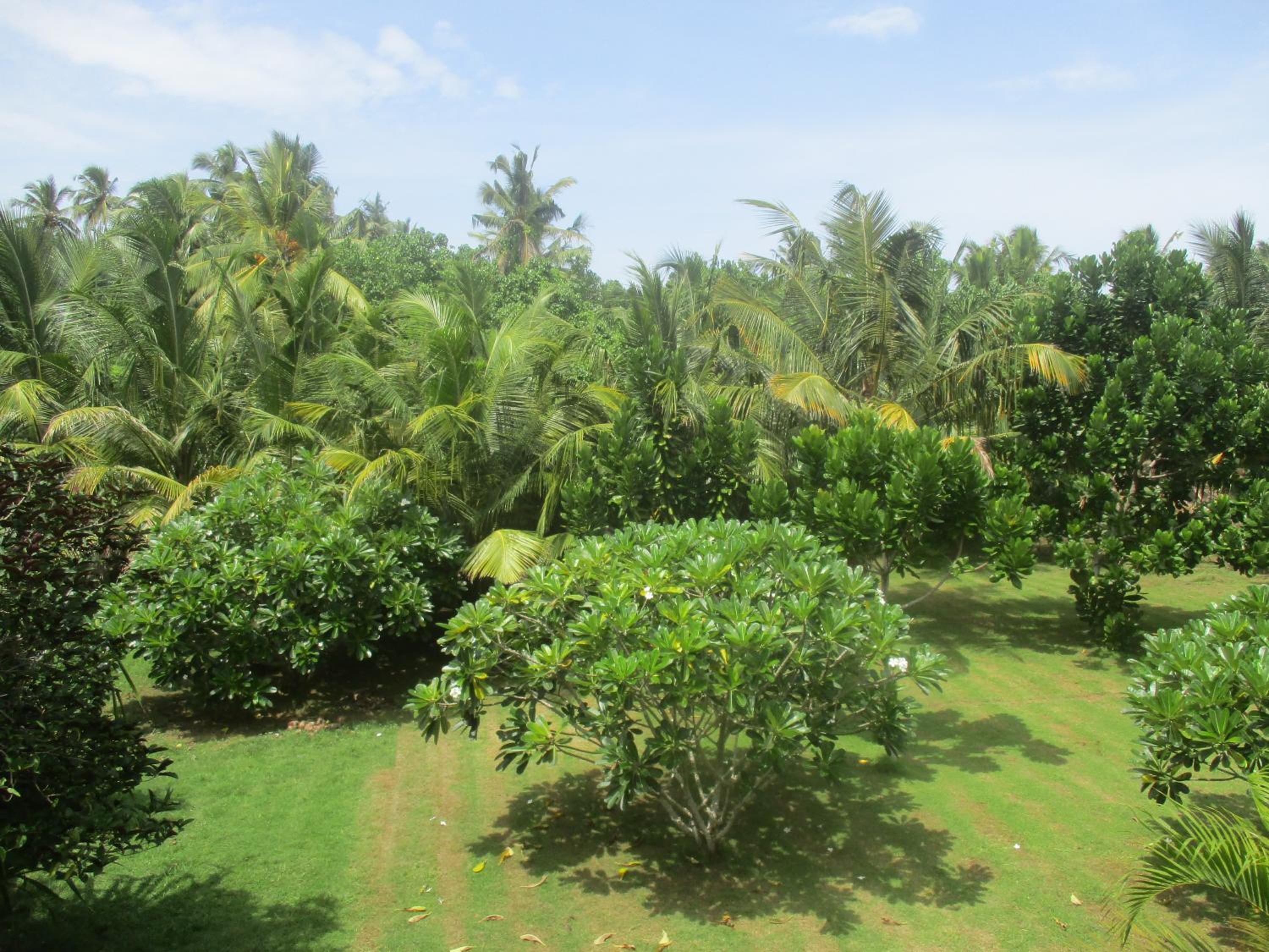 Raja Beach Hotel