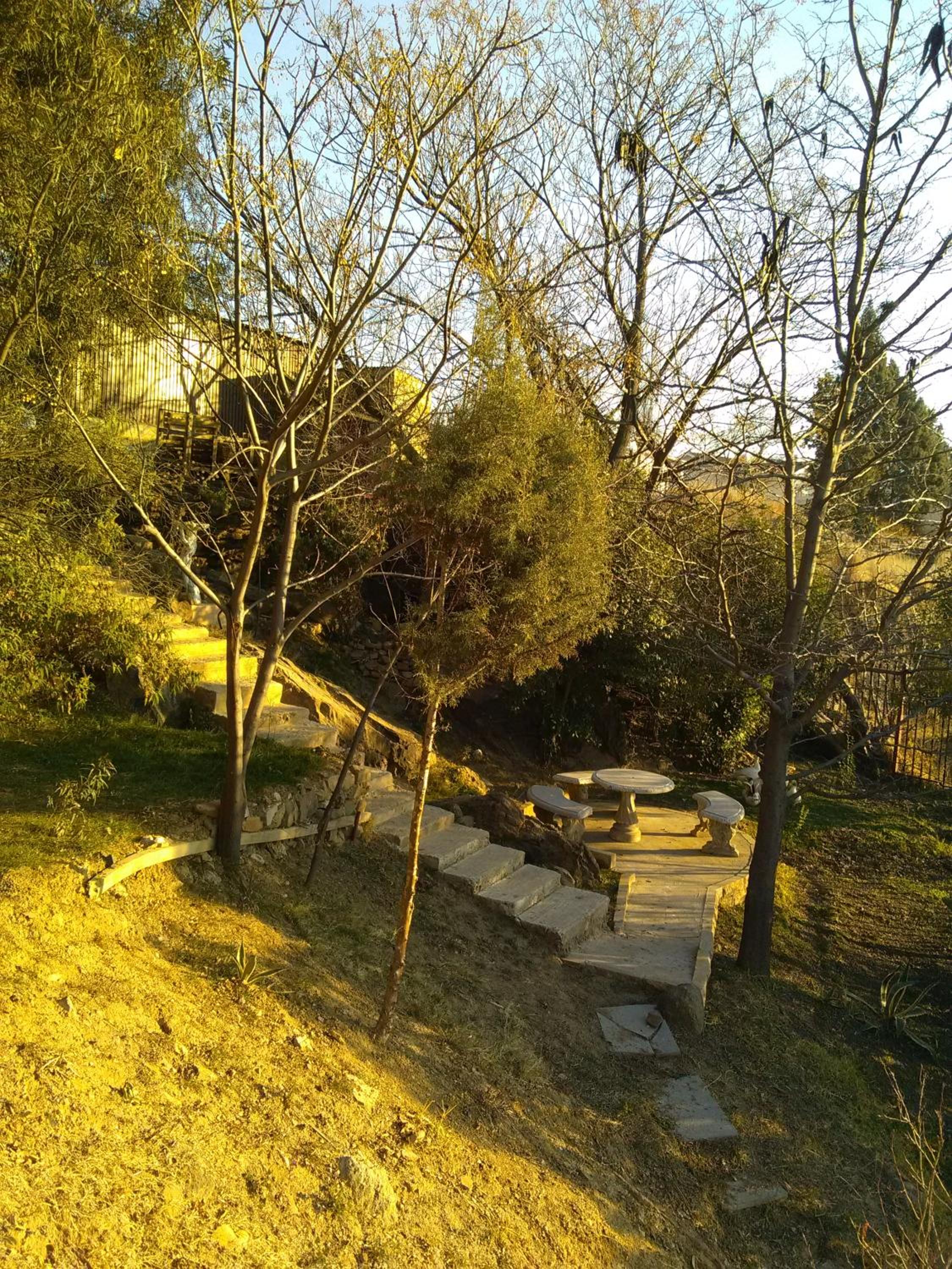 Noble Hearts Bed & Breakfast, photo 18