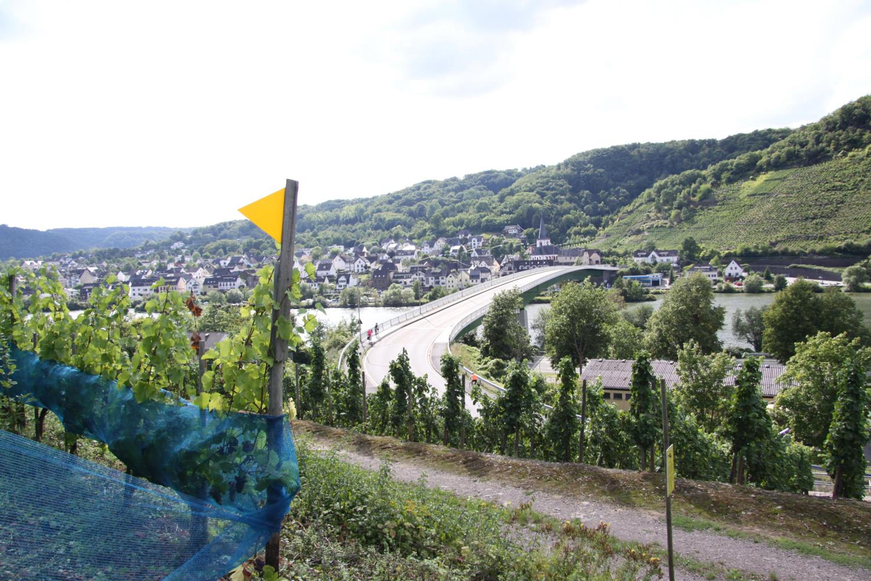 Ferienwohnungen im Moseltal view 3