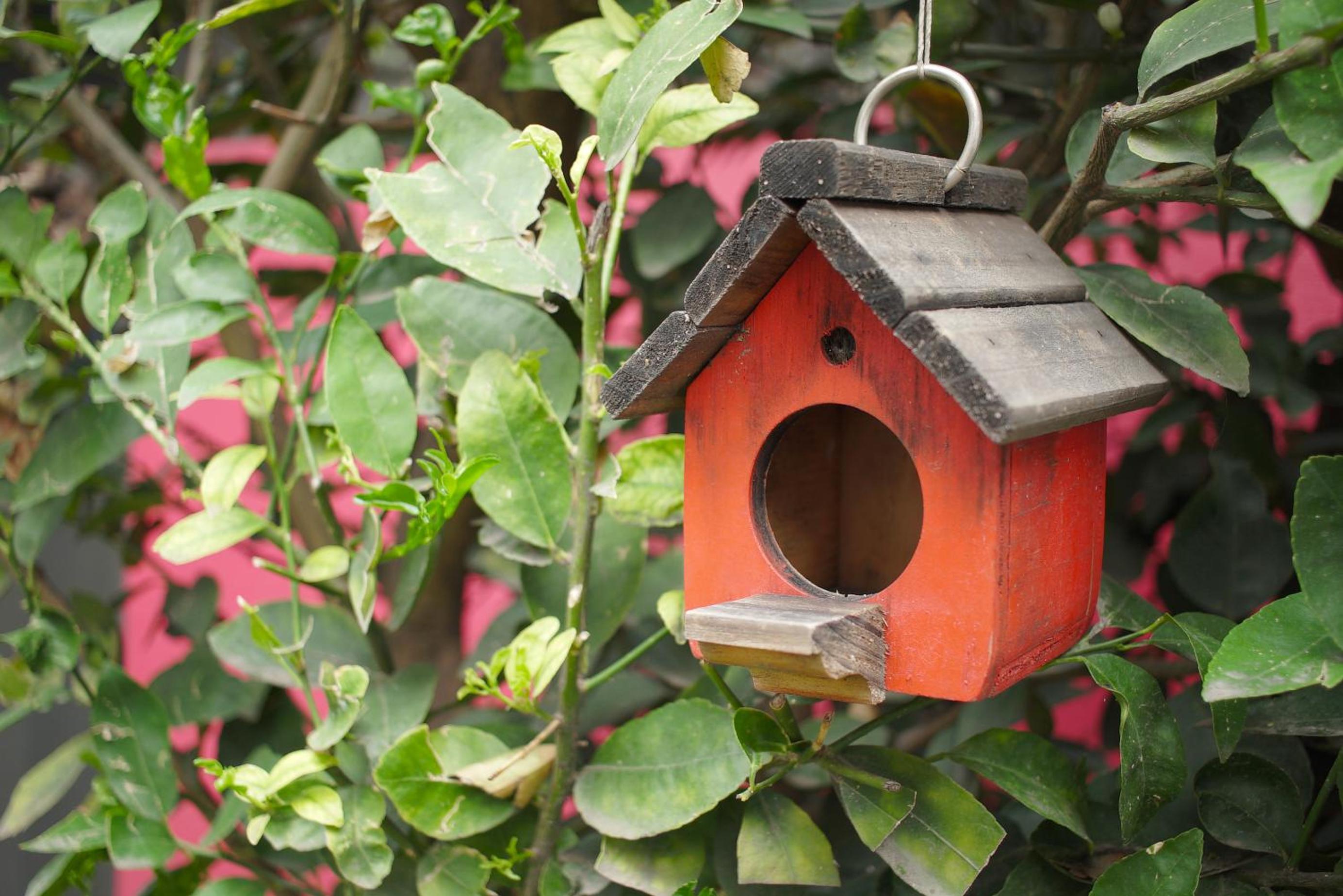 Colibrí B&B photo 2