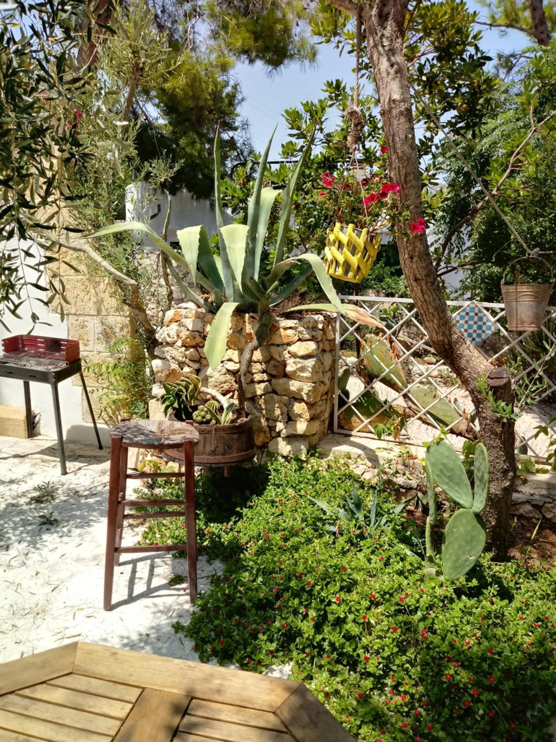 Photo 31