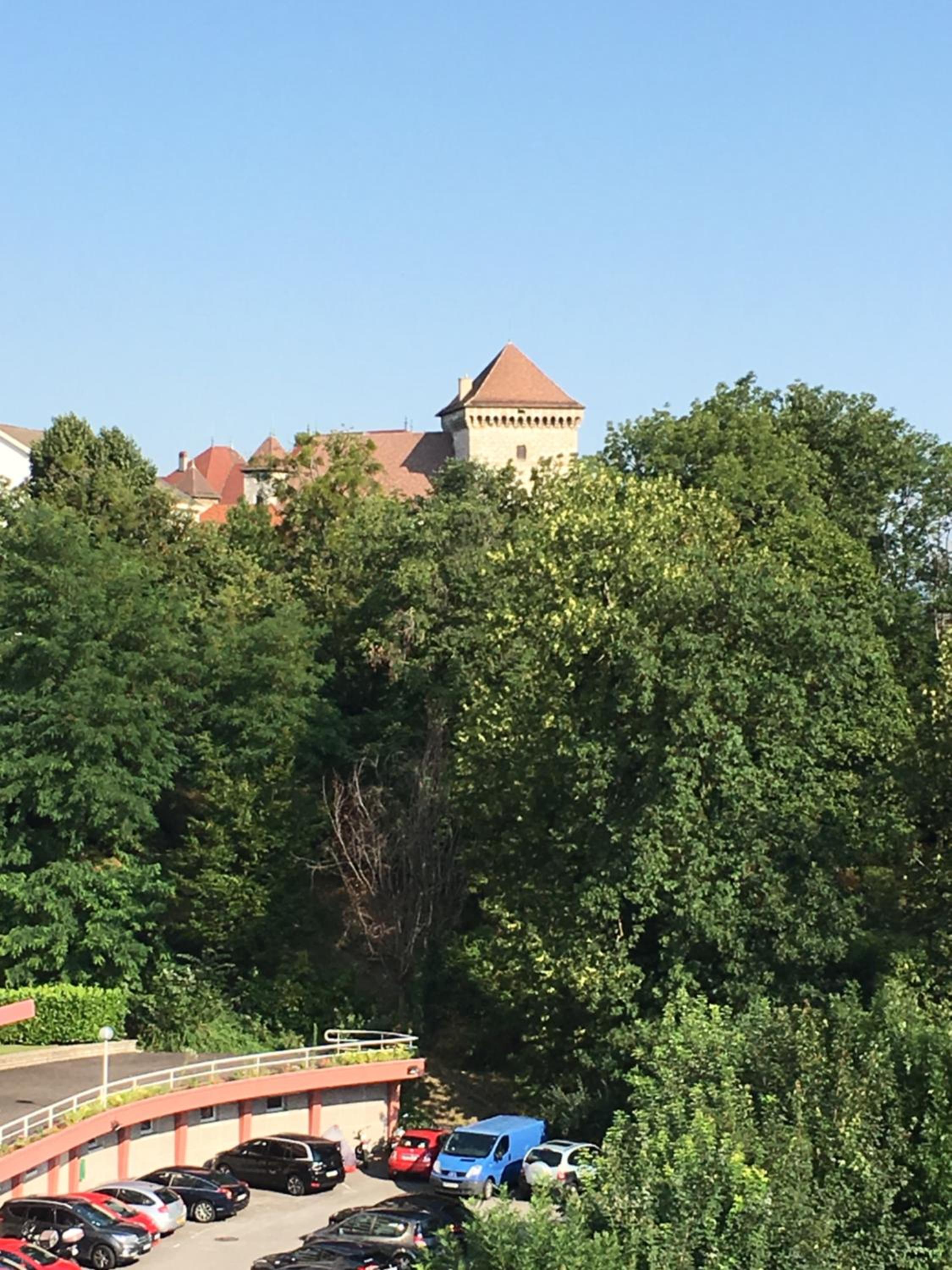 Photo 18
