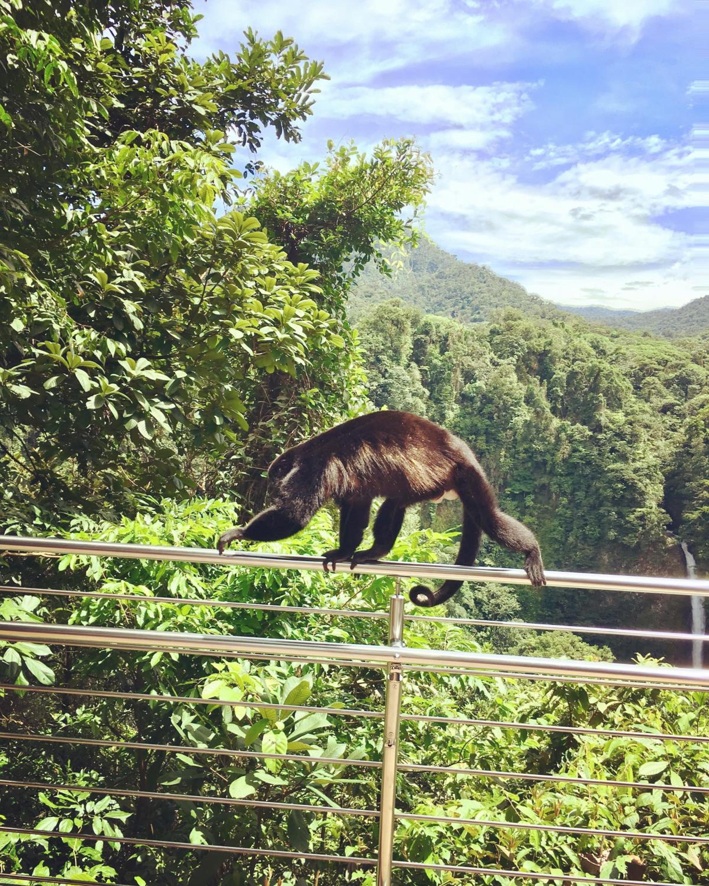 Villa Tucan