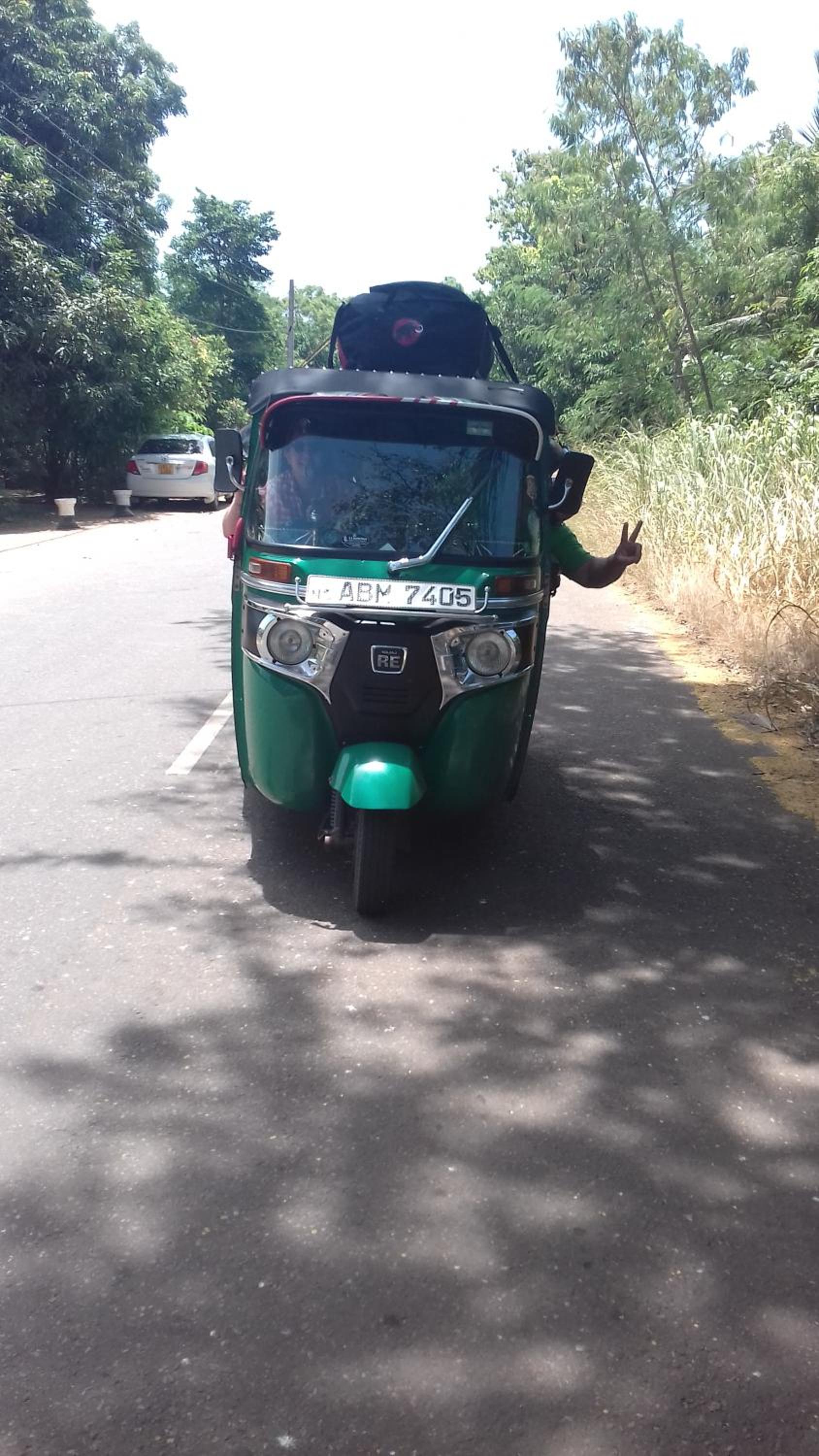 Wilpattu Dolosmahe