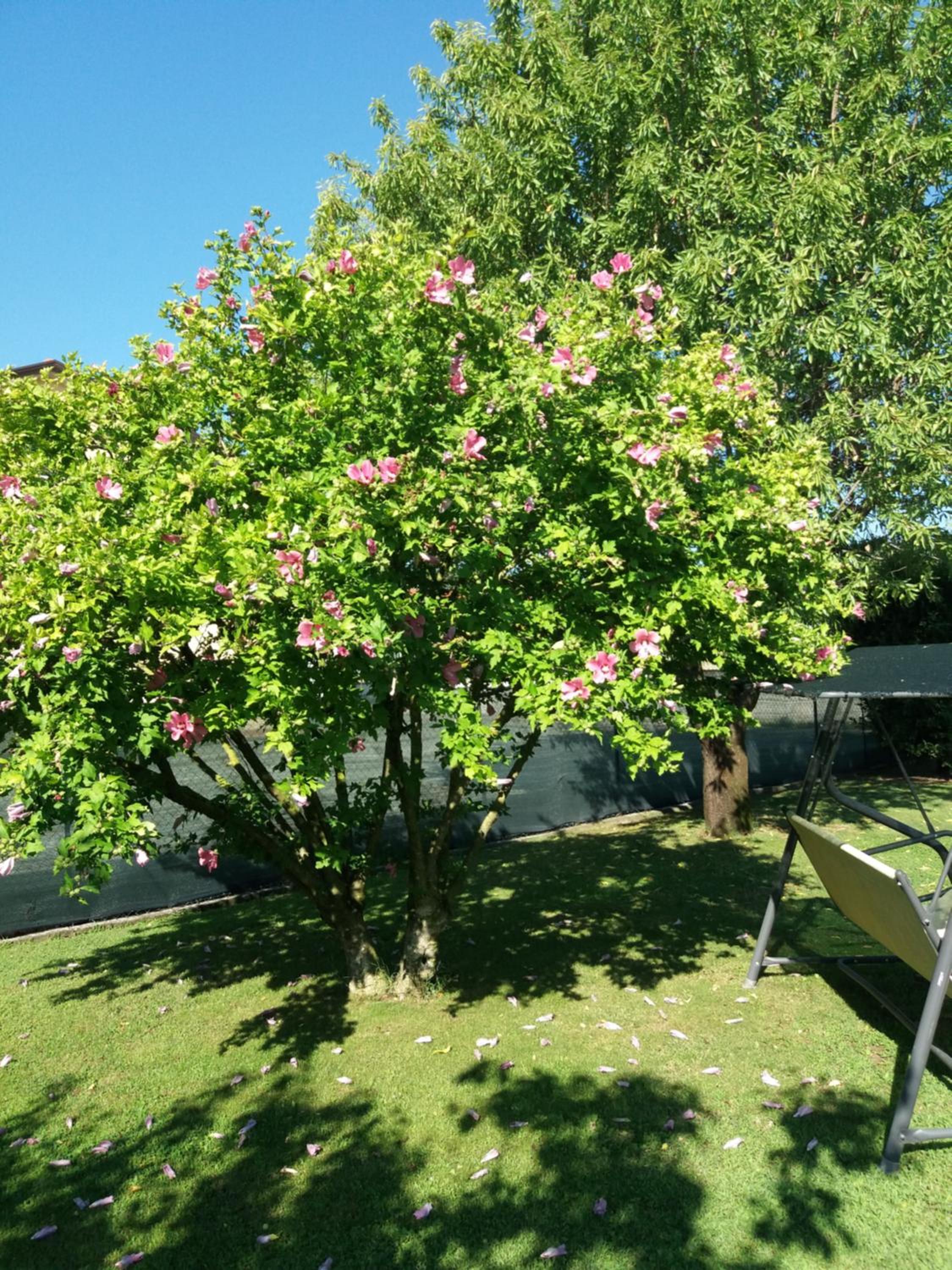 Photo 35