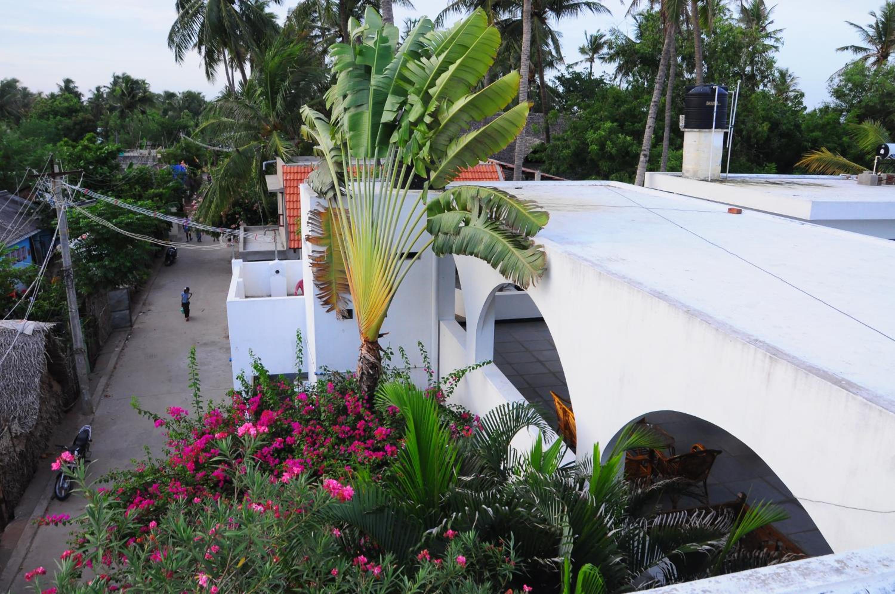 roof