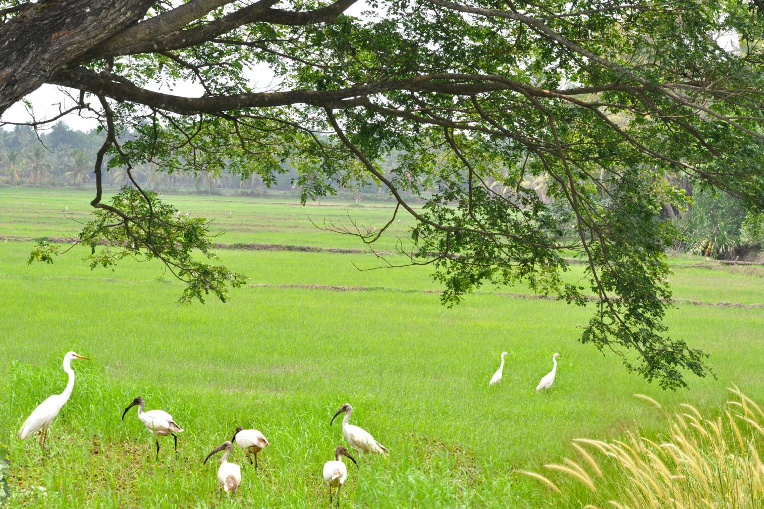 Photo 37